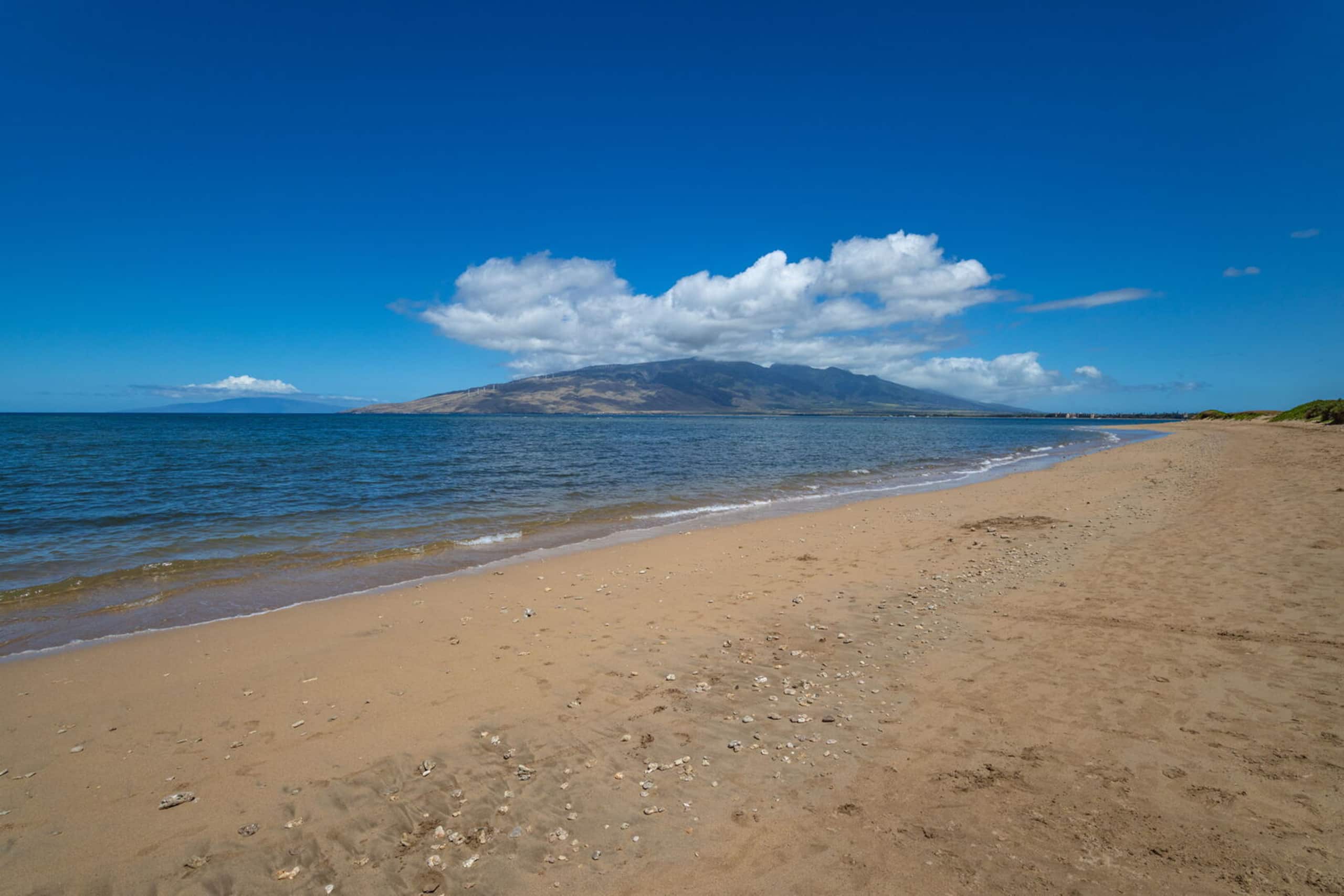 Condo in Kihei · ★4.78 · 2 bedrooms · 4 beds · 2 baths - Image 31