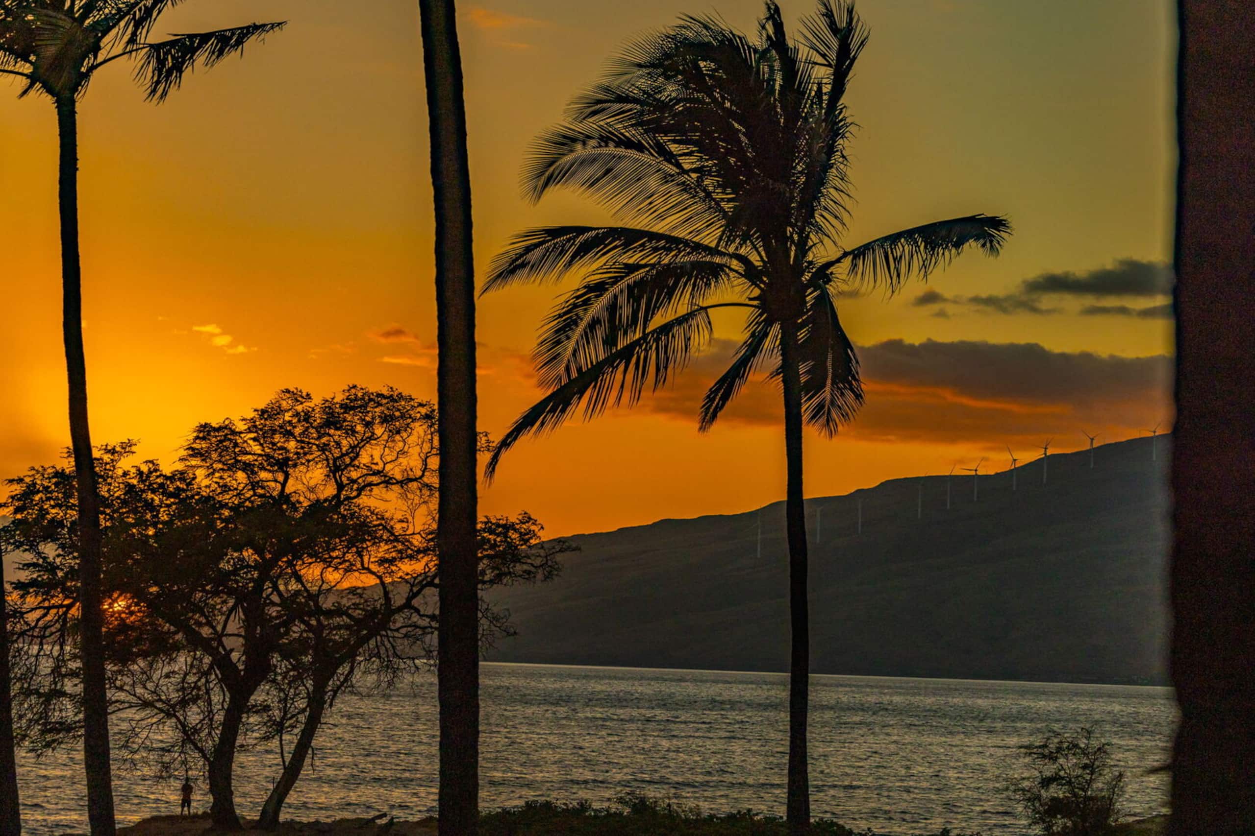 Condo in Kihei · ★4.78 · 2 bedrooms · 4 beds · 2 baths - Image 36