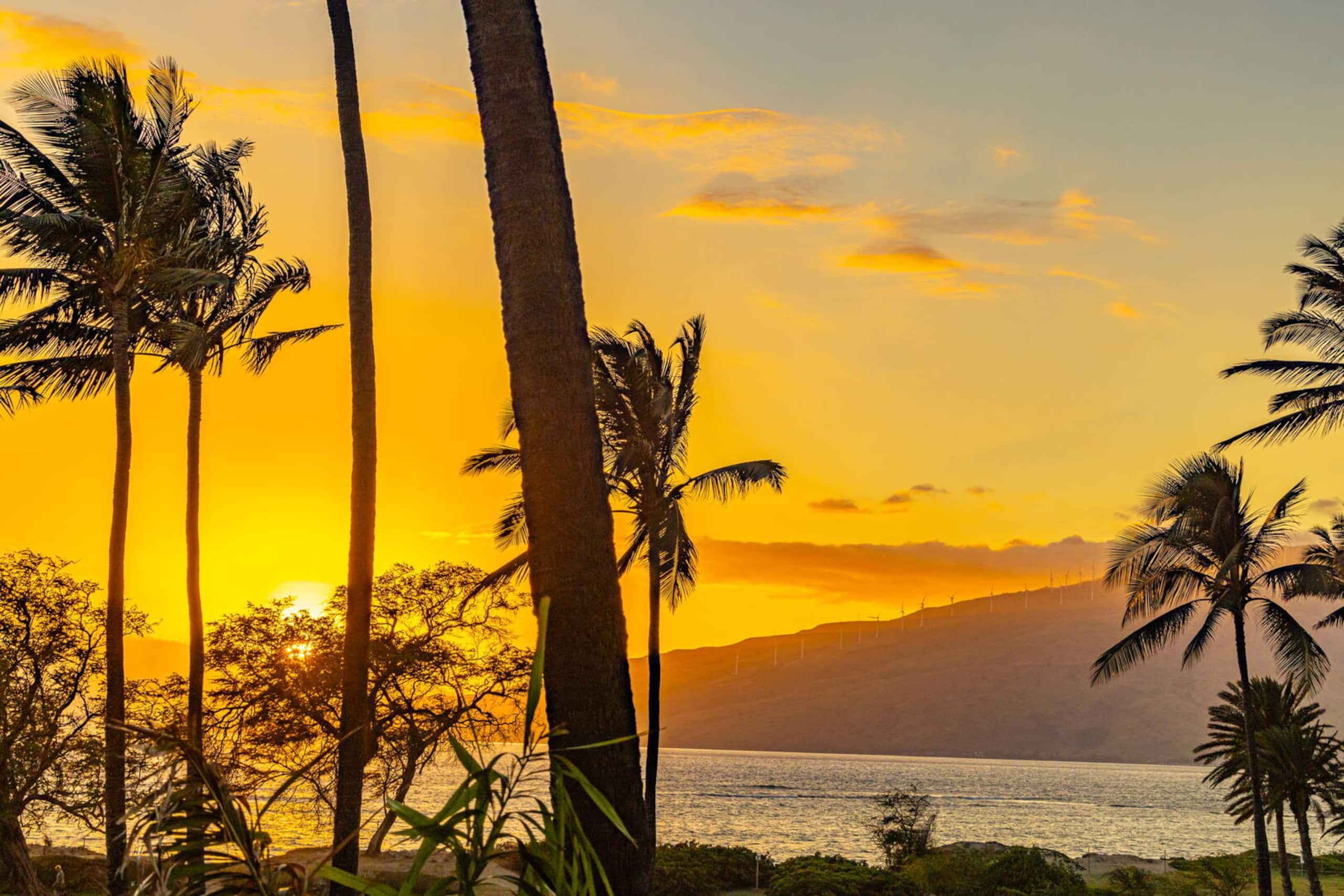 Condo in Kihei · ★4.78 · 2 bedrooms · 4 beds · 2 baths - Image 35