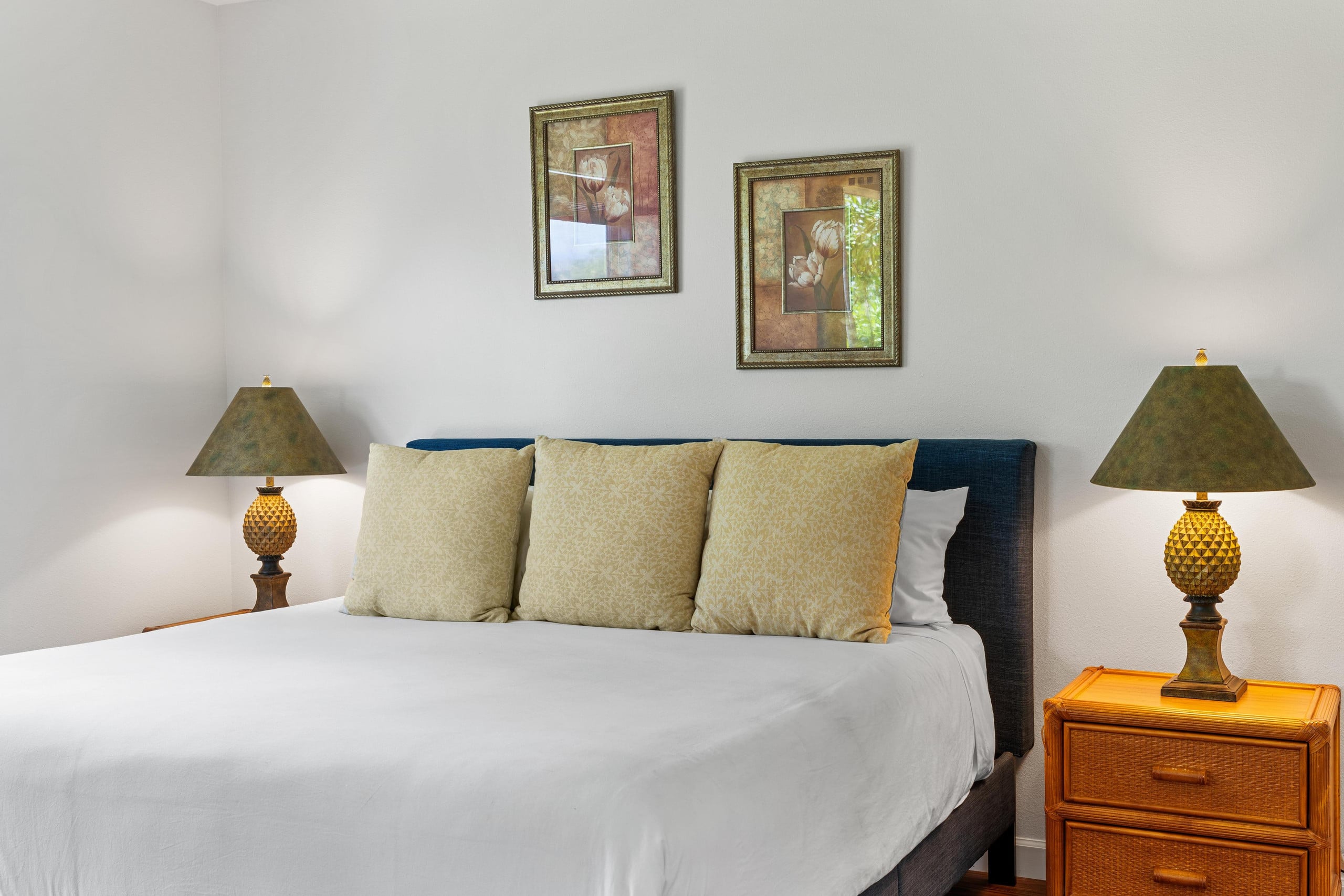Includes Beach Gear Waikoloa Beach Villas A2 - Photo 23
