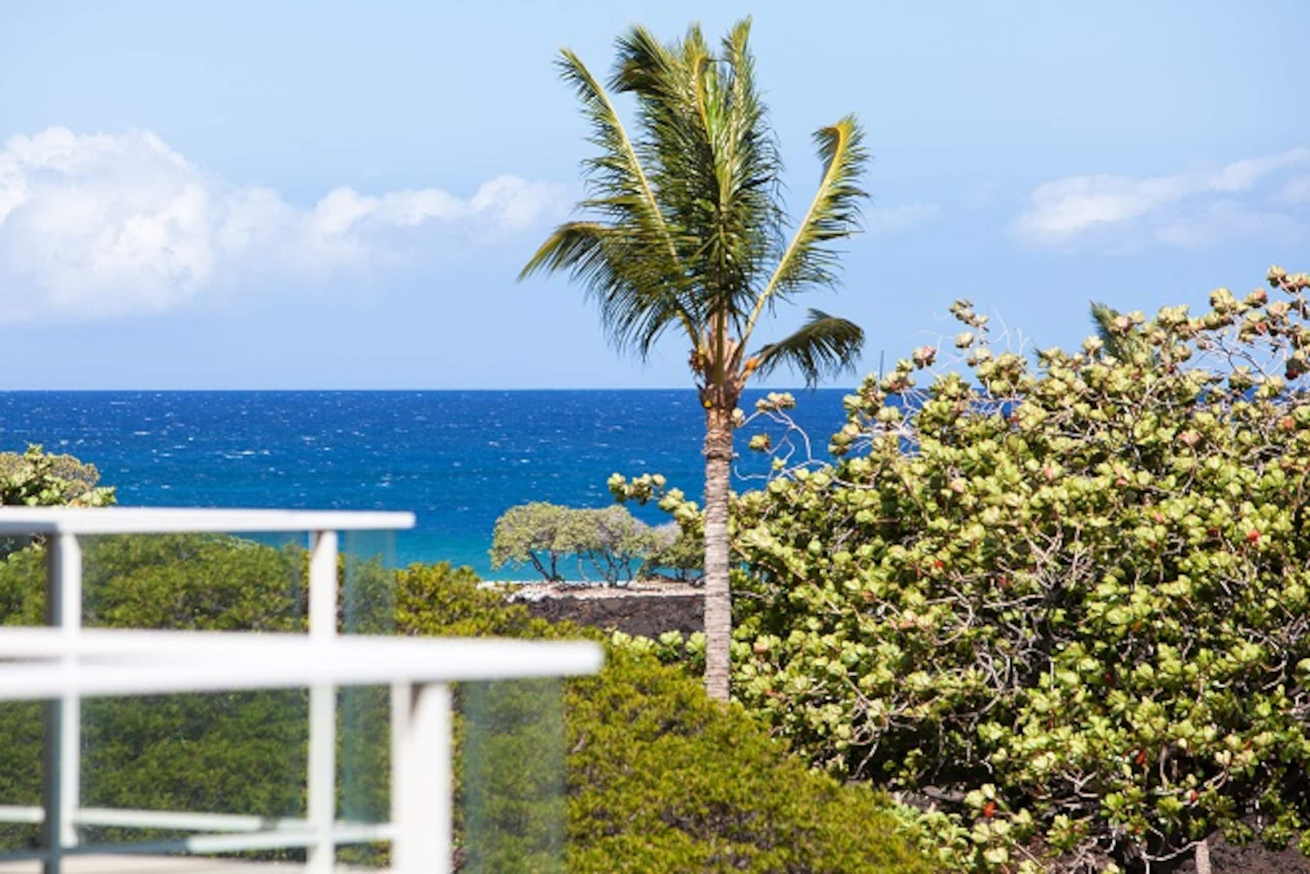 Beautiful Views A304 Vista Waikoloa - Photo 16