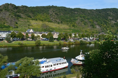Popular Airbnb listing: Studio Dornfelder with Moselle view in Cochem