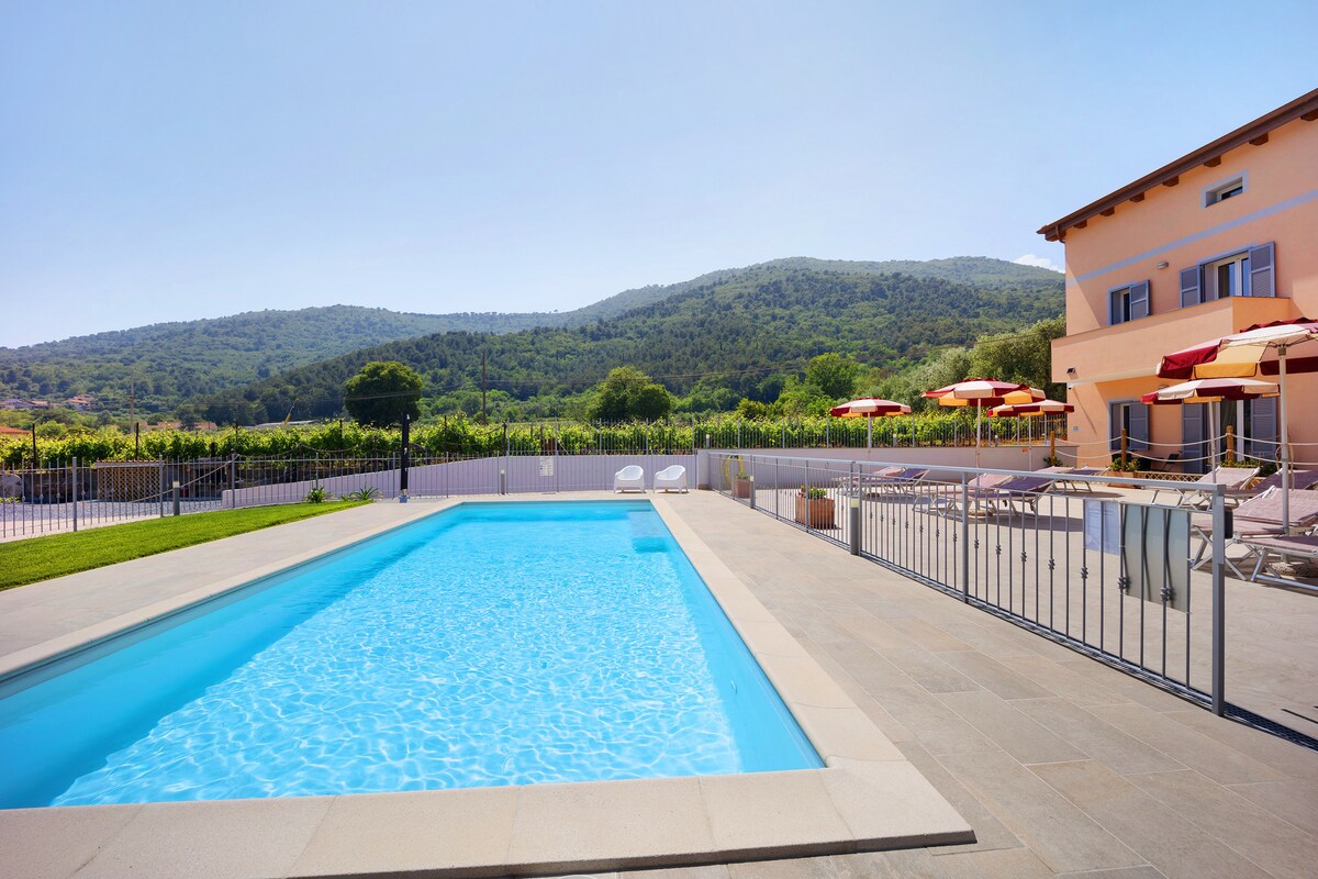 A rectangular pool features clear blue water surrounded by a stone patio. Comfortable loungers and umbrellas are positioned nearby. The backdrop showcases rolling green hills under a bright blue sky, with fencing outlining the pool area for safety.