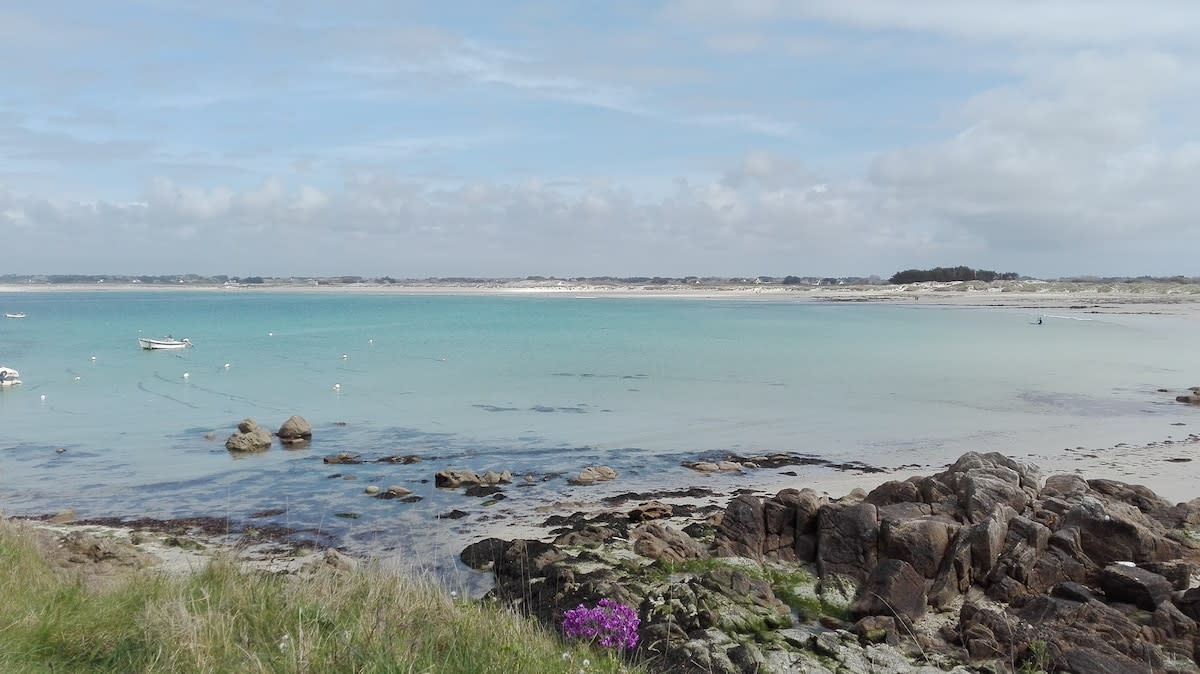 A serene coastal view features calm turquoise waters with scattered boats gently floating. Rocky shores are framed by patches of lush grass and a vibrant purple flower. A soft sandy beach is visible in the distance under a partly cloudy sky.