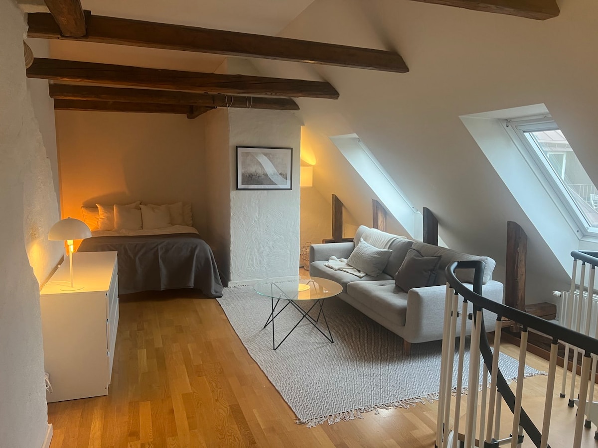 Stockholm Furnished Monthly Rentals and Extended Stays | Airbnb