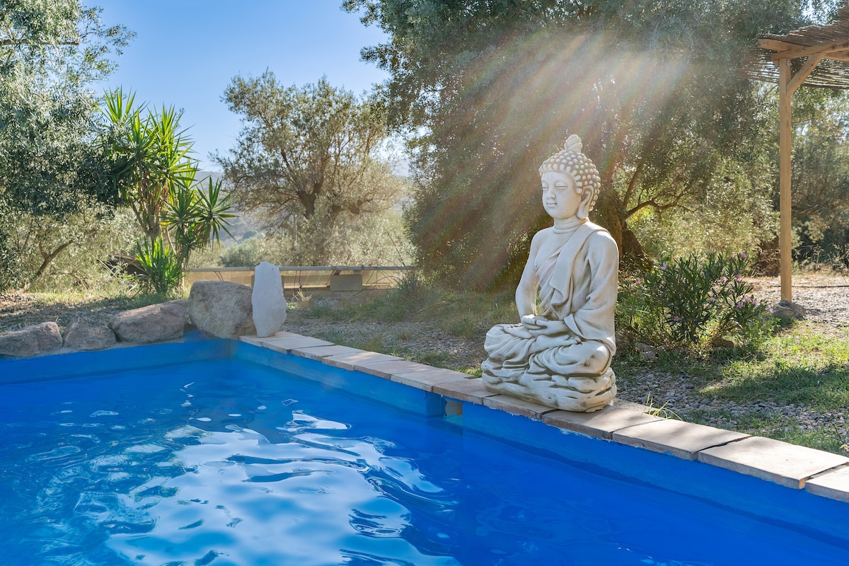 A tranquil pool area is framed by lush greenery and olive trees. A serene statue sits beside the water, enhancing the natural surroundings. Sunlight filters through the trees, casting soft reflections on the surface of the pool, inviting relaxation in a peaceful outdoor space.