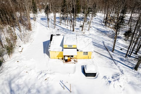 Lillie's Lil Cabin: Make Snowy Memories