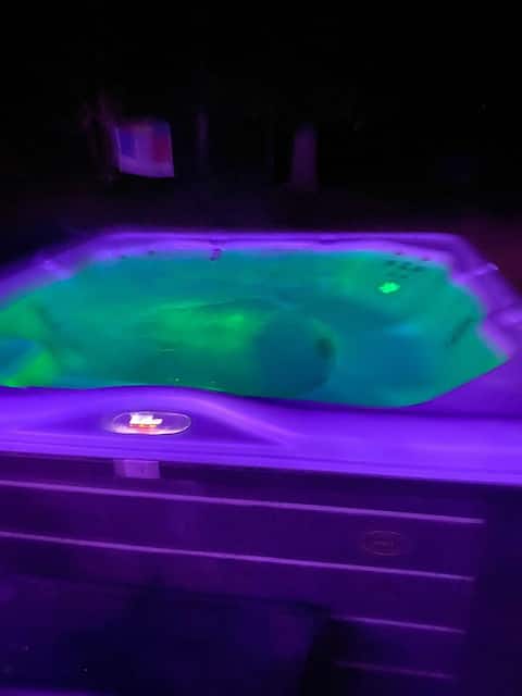 Lillie's Lil Cabin: Fresh Air & Forest Blooms