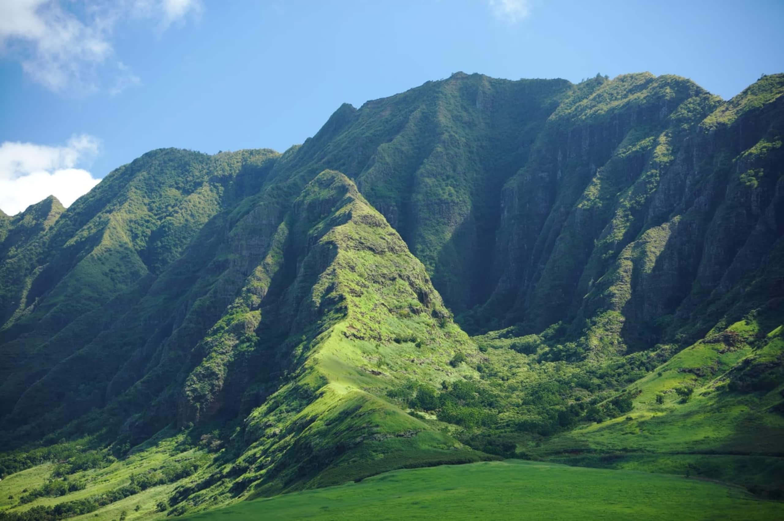 Home in Waianae · ★4.92 · 4 bedrooms · 5 beds · 2.5 private baths - Image 73