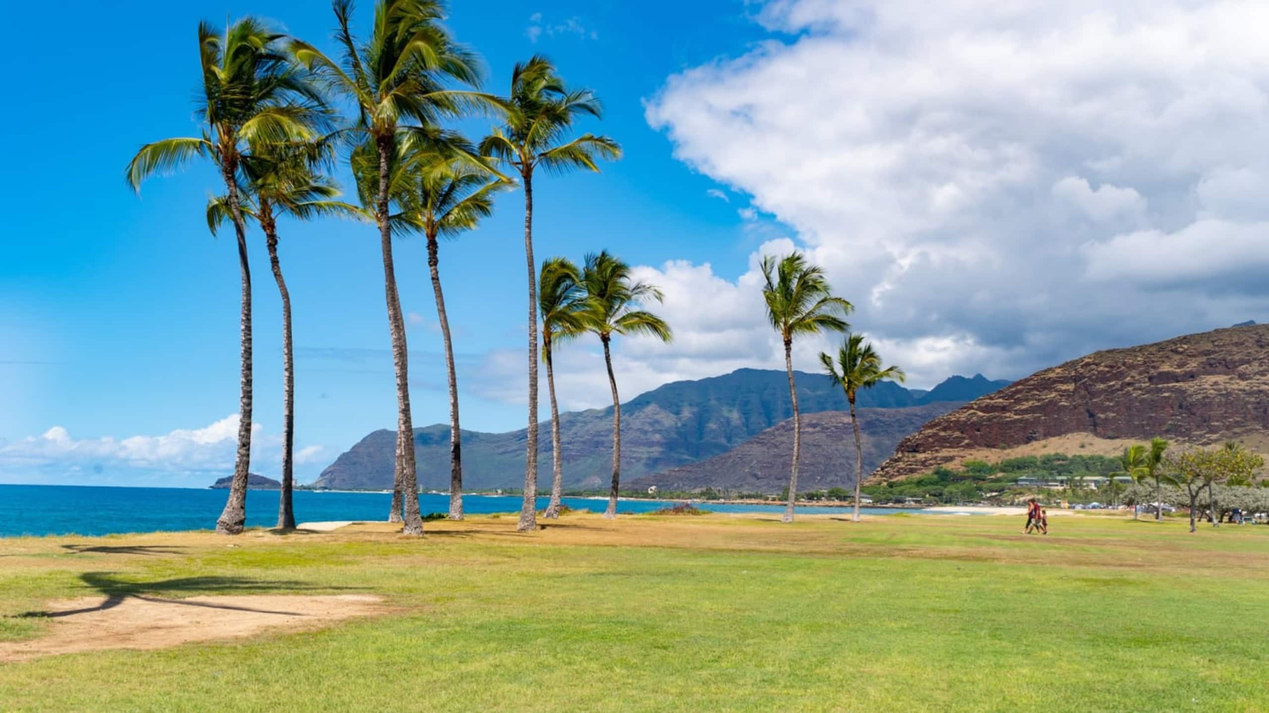 Home in Waianae · ★4.92 · 4 bedrooms · 5 beds · 2.5 private baths - Image 71