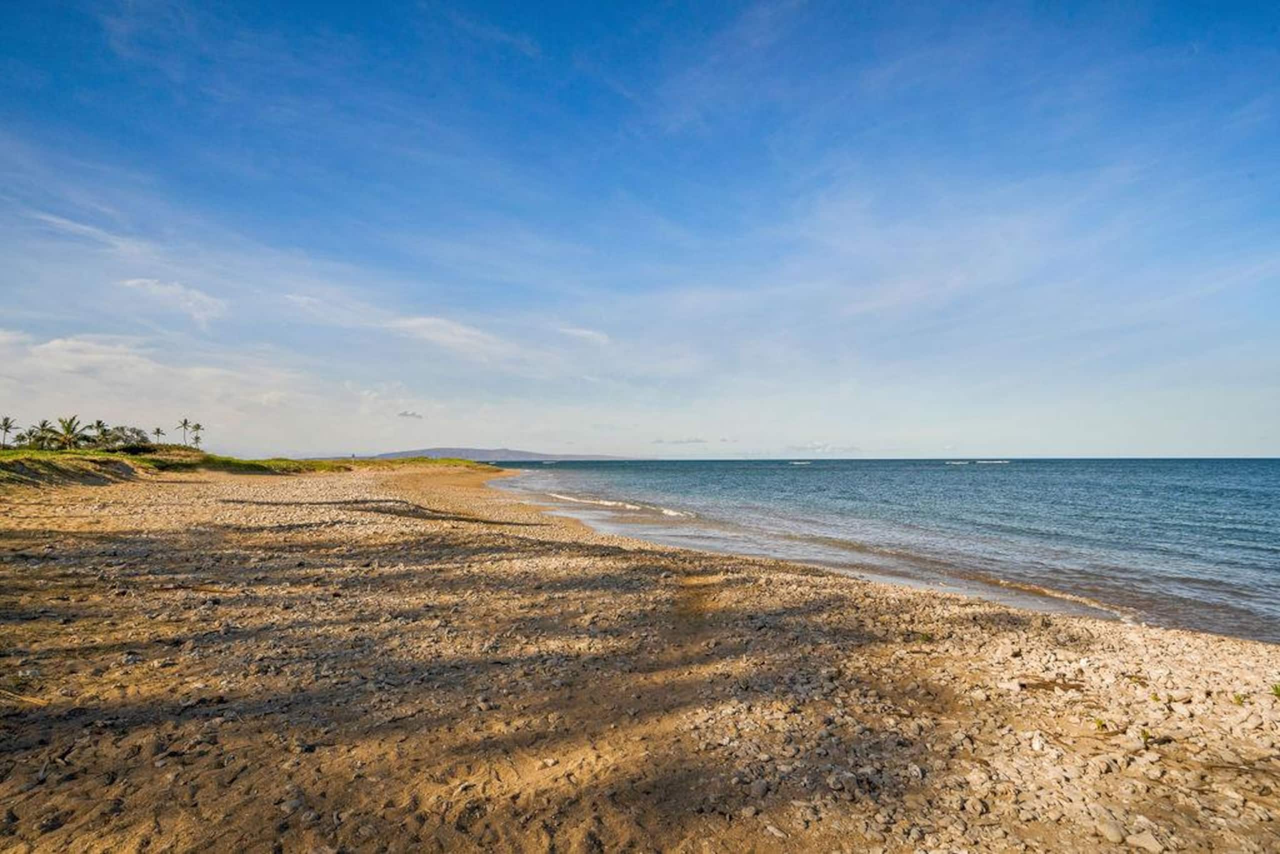 Condo in Kihei · ★5.0 · 1 bedroom · 1 bed · 1 bath - Image 61
