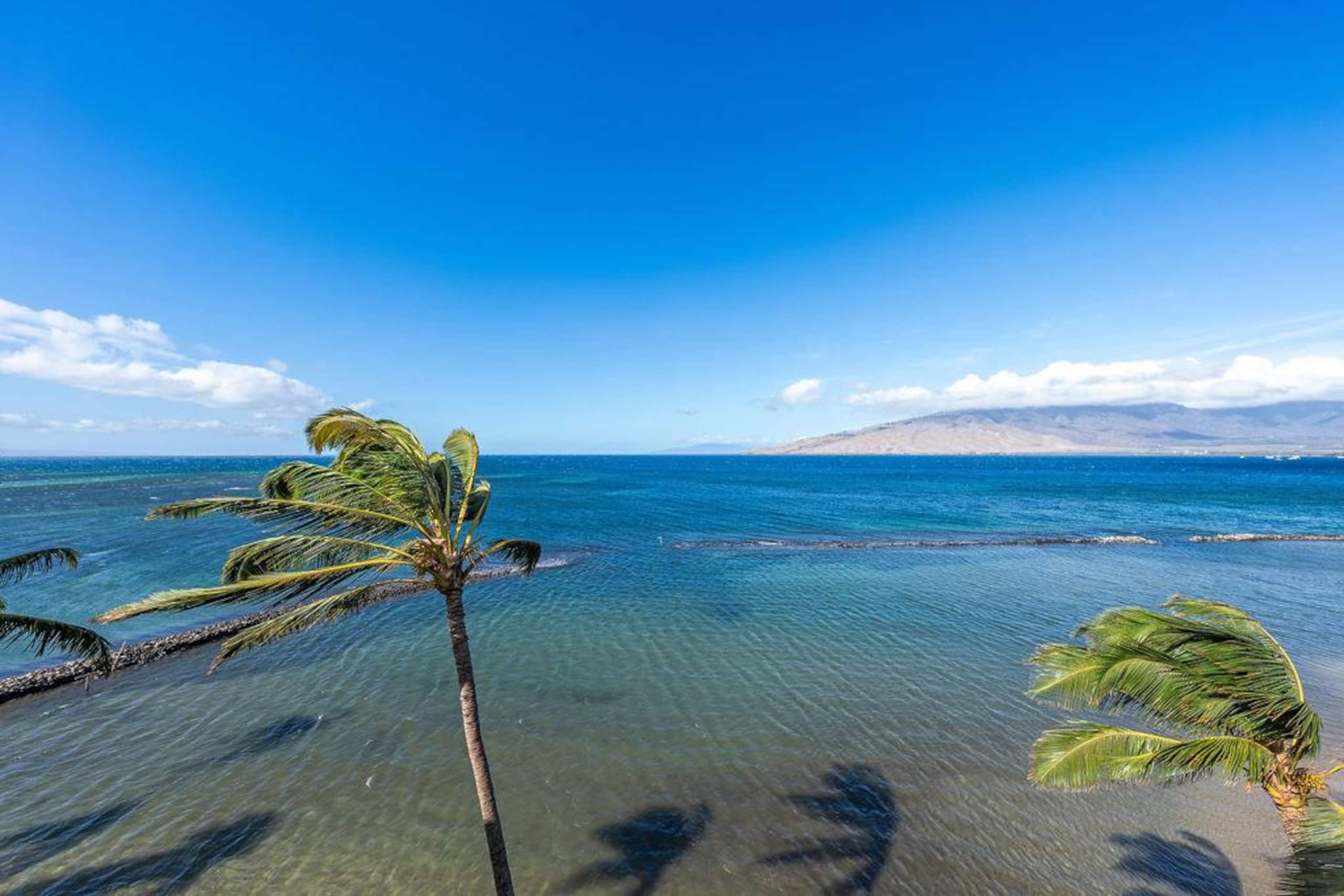 Condo in Kihei · ★5.0 · 1 bedroom · 1 bed · 1 bath - Image 48