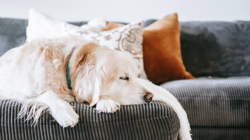 Ocean View House gallery image 5