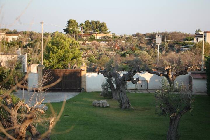 Villa Rita gallery image 3