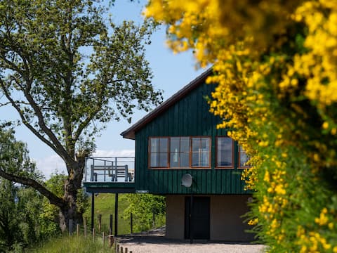 Achmony Green by Interhome