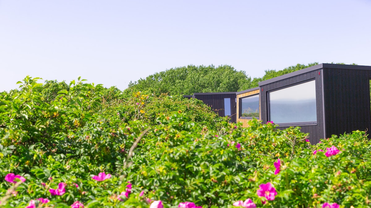 Two tiny houses are nestled among lush greenery and blooming pink flowers, showcasing a natural setting. The structures are designed with large windows, allowing glimpses of the serene surroundings and the Baltic Sea's horizon in the distance.