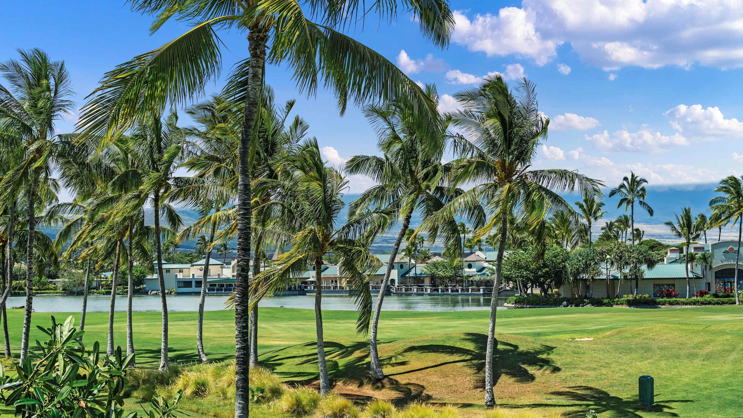 Family-Friendly Waikoloa Condo Near Beach & Golf - Photo 51