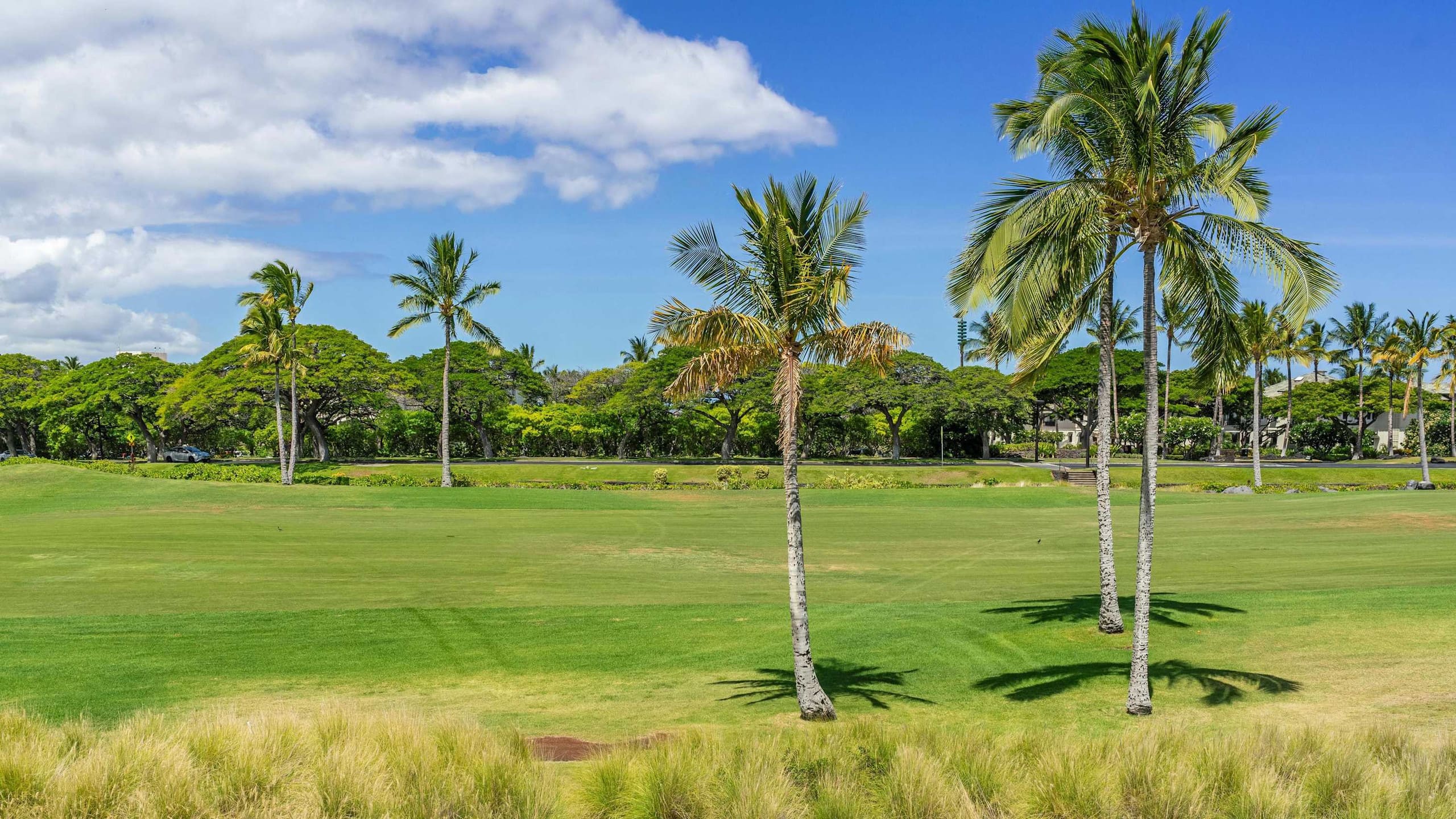Family-Friendly Waikoloa Condo Near Beach & Golf - Photo 47