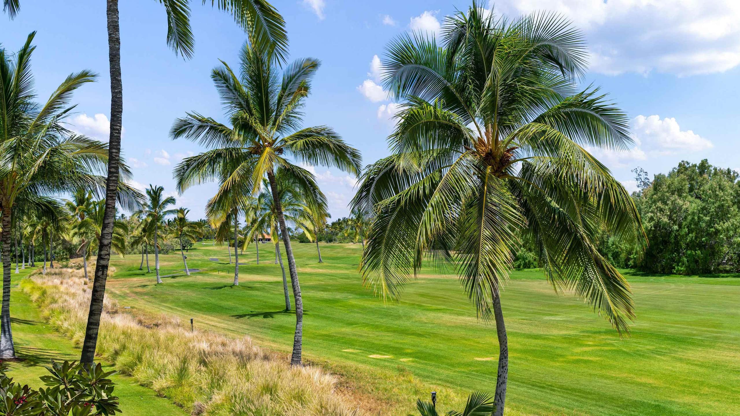 Condo in Waikoloa Village · ★4.89 · 2 bedrooms · 4 beds · 2 private baths - Image 42