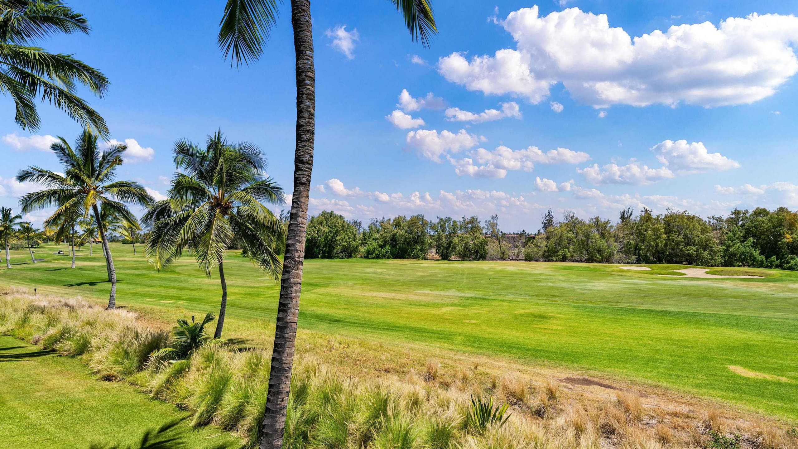 Condo in Waikoloa Village · ★4.89 · 2 bedrooms · 4 beds · 2 private baths - Image 40