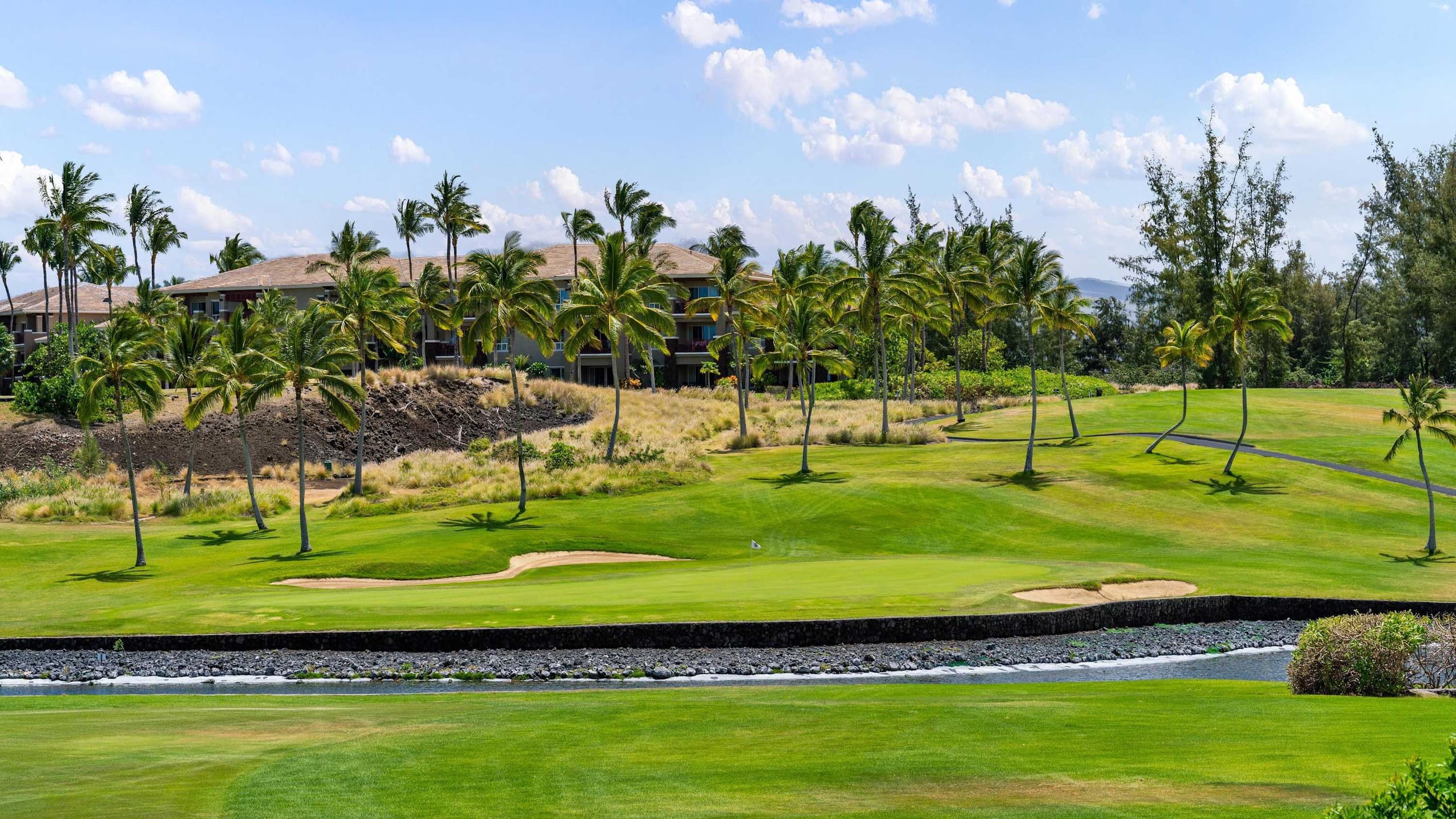 Condo in Waikoloa Village · ★4.89 · 2 bedrooms · 4 beds · 2 private baths - Image 41