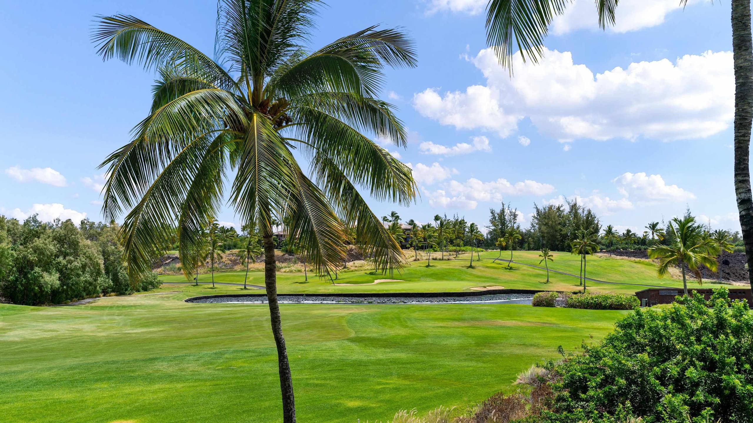 Condo in Waikoloa Village · ★4.89 · 2 bedrooms · 4 beds · 2 private baths - Image 43