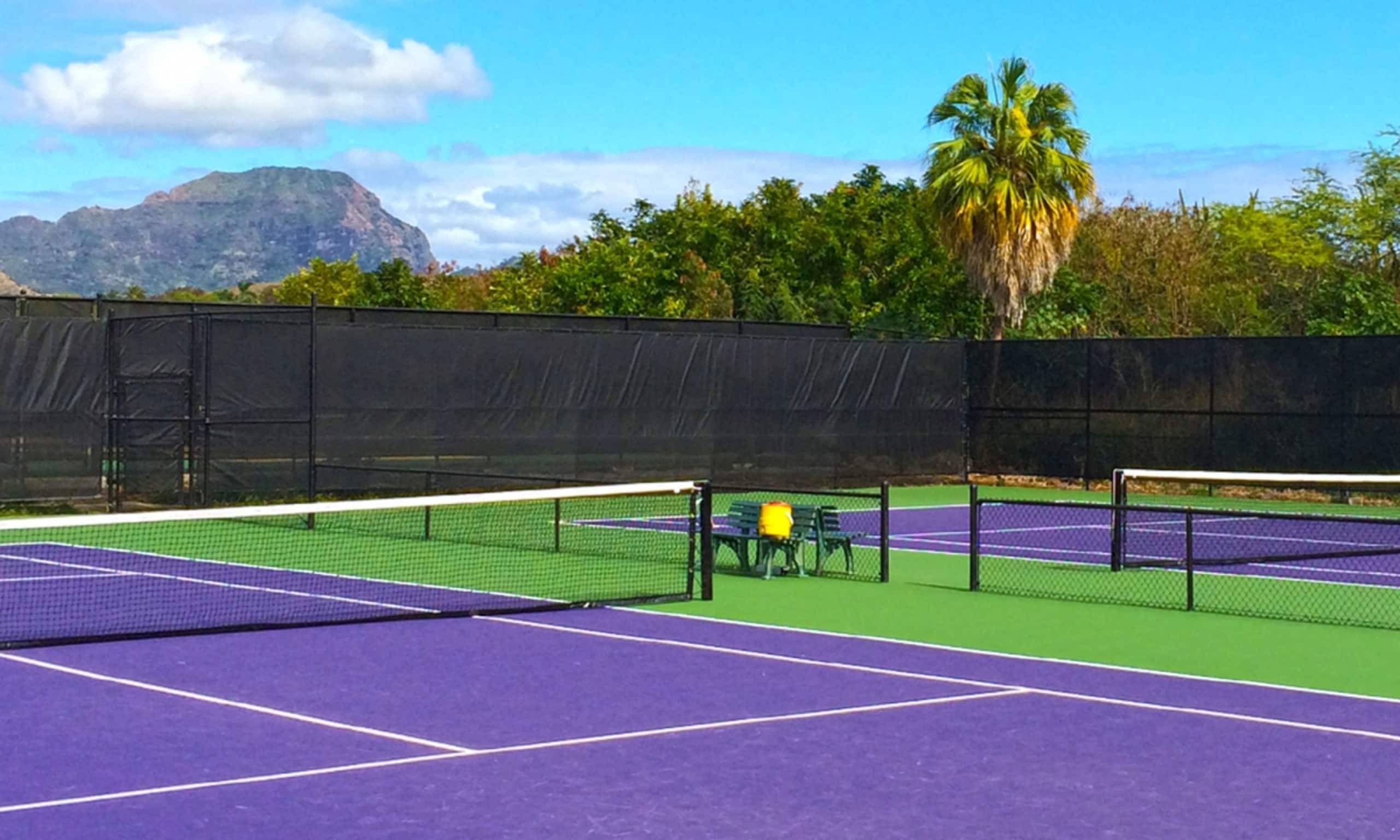 Home in Koloa · ★4.94 · 3 bedrooms · 4 beds · 2 baths - Image 39