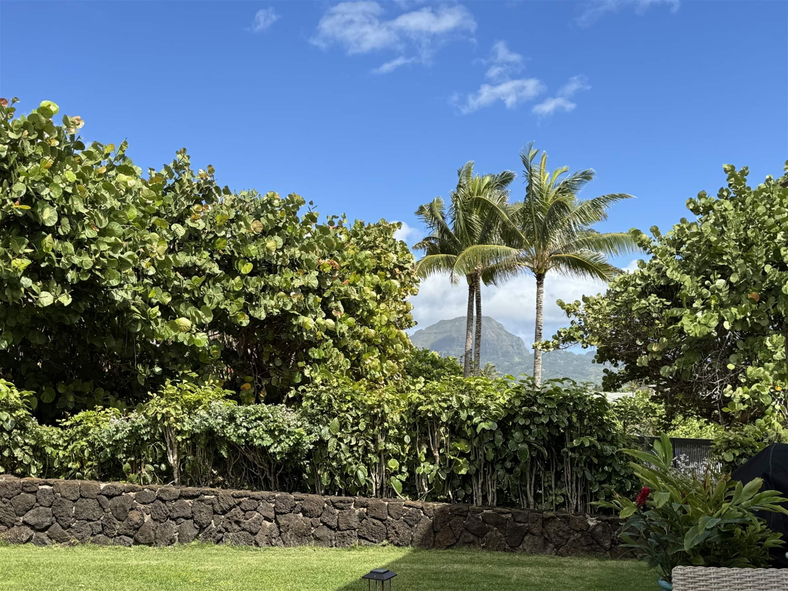 Home in Koloa · ★4.94 · 3 bedrooms · 4 beds · 2 baths - Image 29