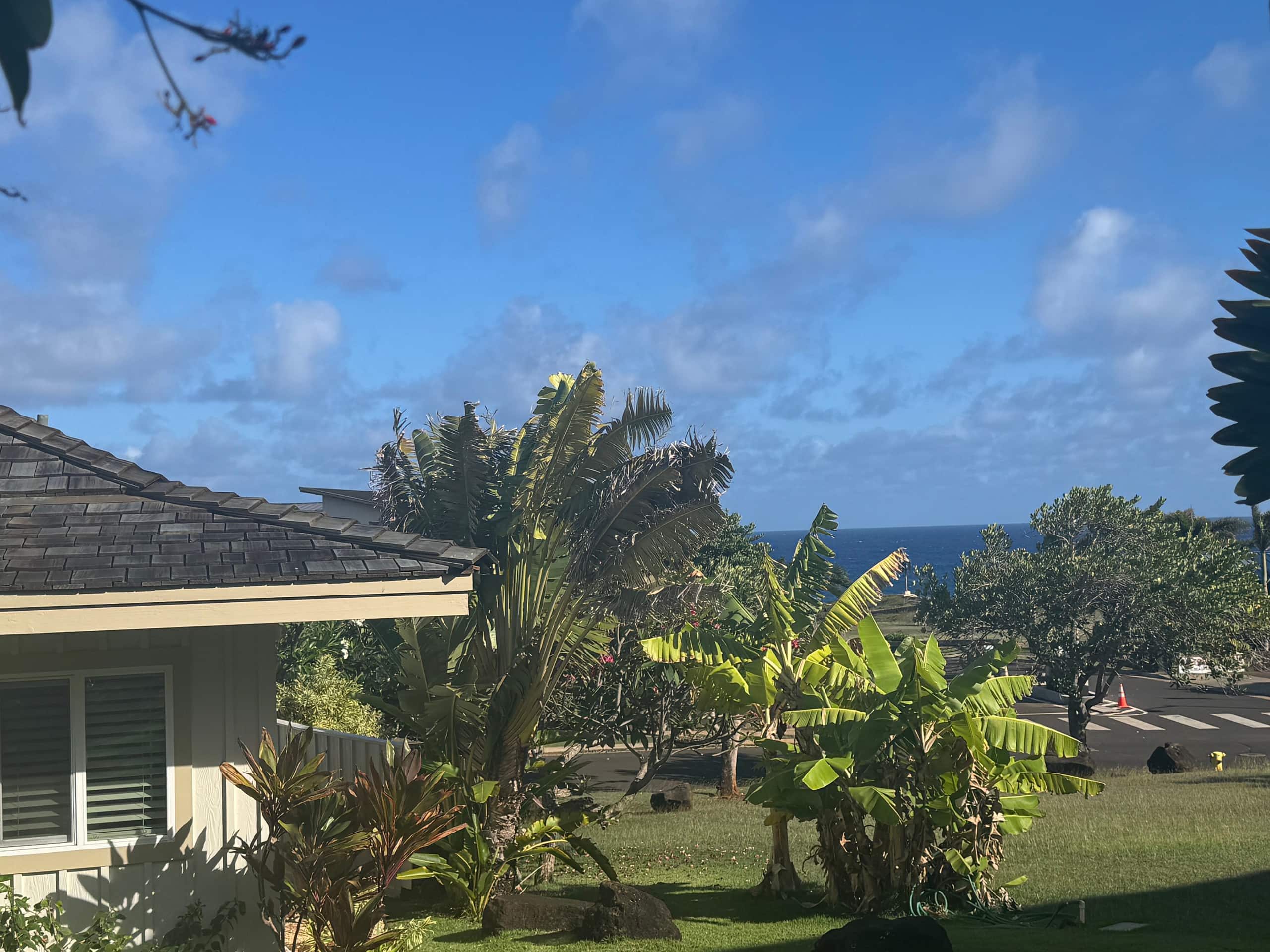 Home in Koloa · ★4.94 · 3 bedrooms · 4 beds · 2 baths - Image 32