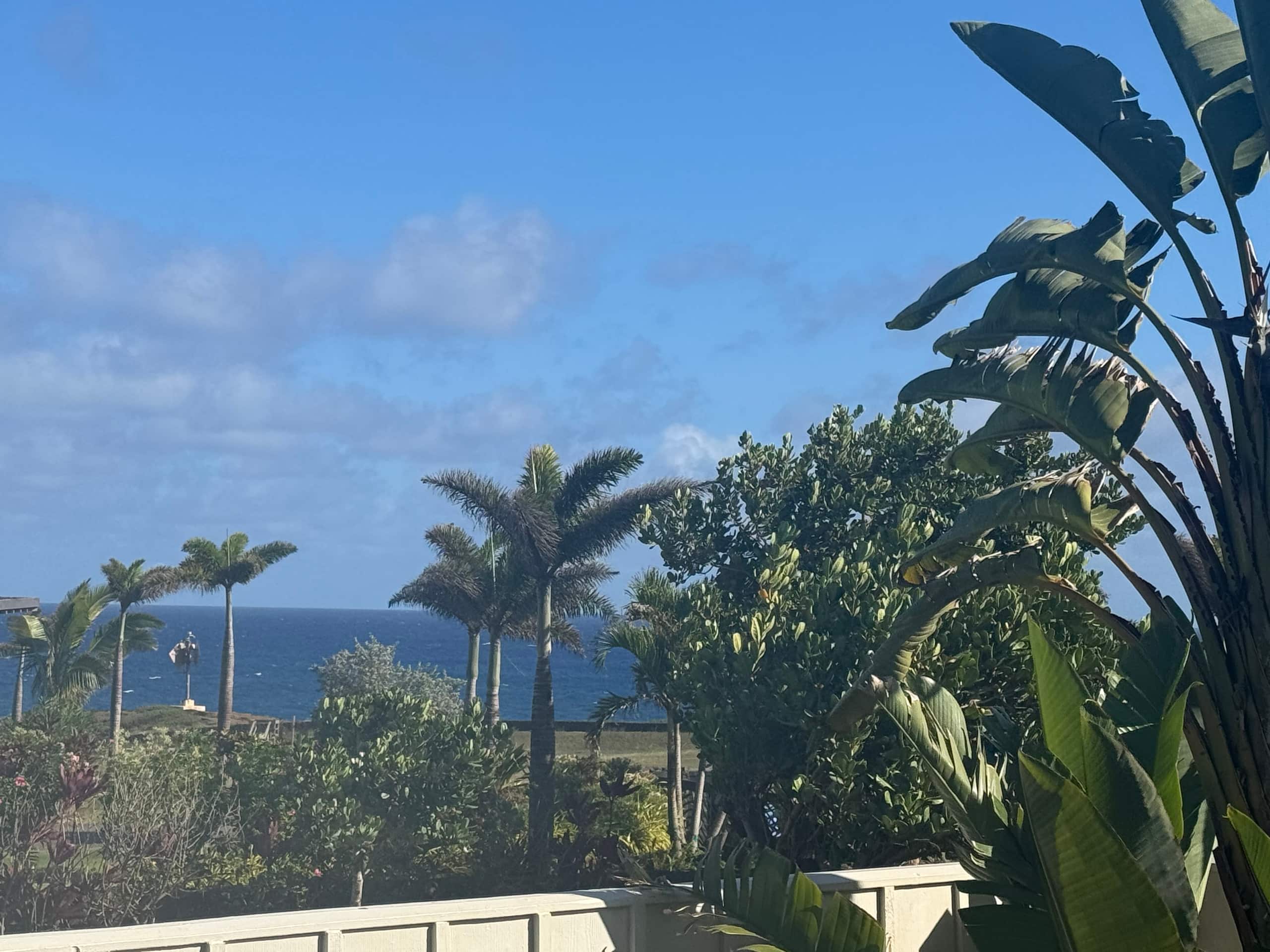 Home in Koloa · ★4.94 · 3 bedrooms · 4 beds · 2 baths - Image 46