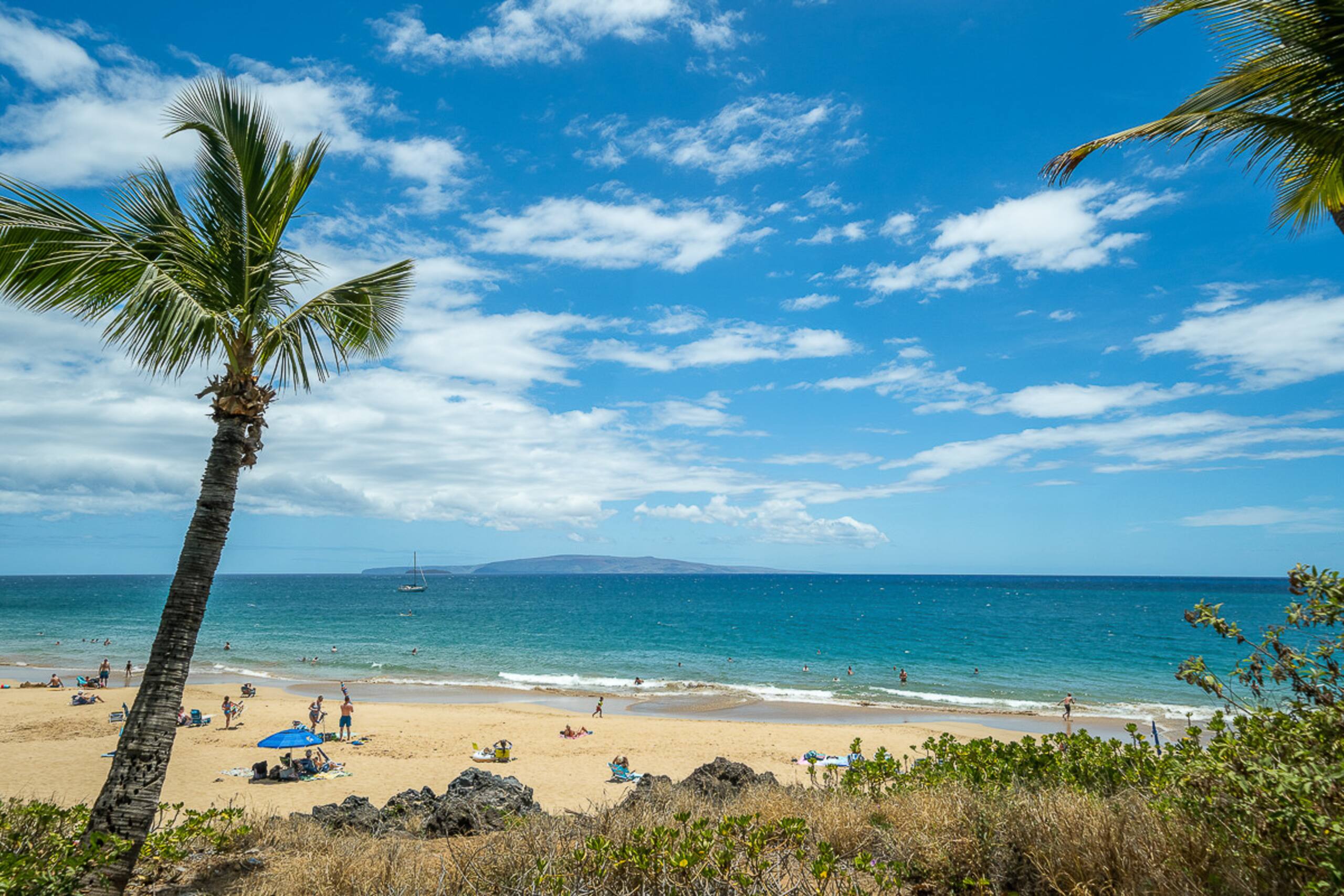 Condo in Kihei · ★4.8 · 2 bedrooms · 4 beds · 2 baths - Image 51