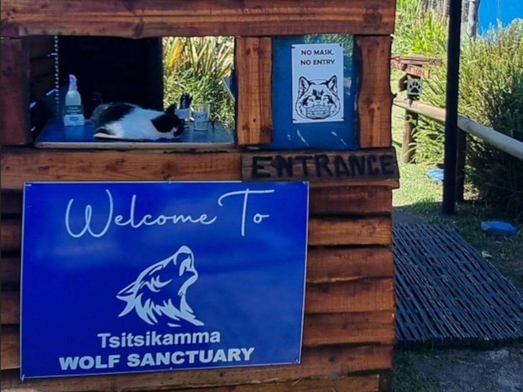 A wooden entrance booth marked with a welcoming sign for the Tsitsikamma Wolf Sanctuary. A calm cat is resting on the booth, with a clear notice stating 'No Mask, No Entry' visible. Natural surroundings are present in the background.