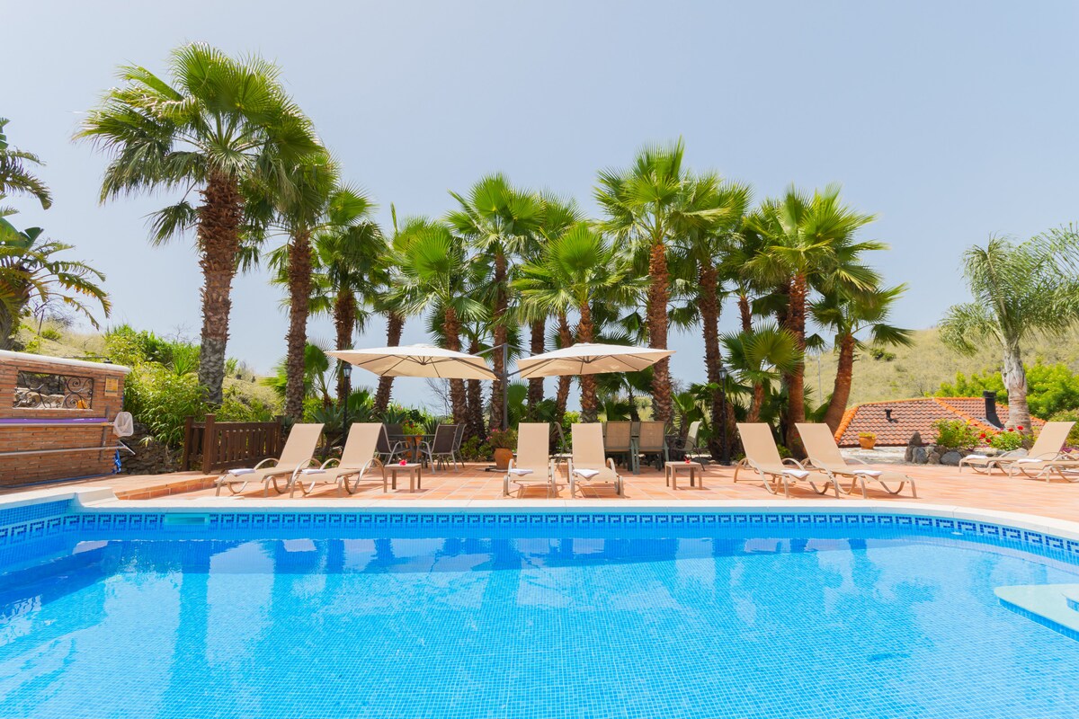 The swimming pool is surrounded by palm trees and lounge chairs, creating a serene atmosphere for relaxation. Umbrellas are positioned over some chairs for shade. The pool reflects a clear blue sky, enhancing the tranquil environment.