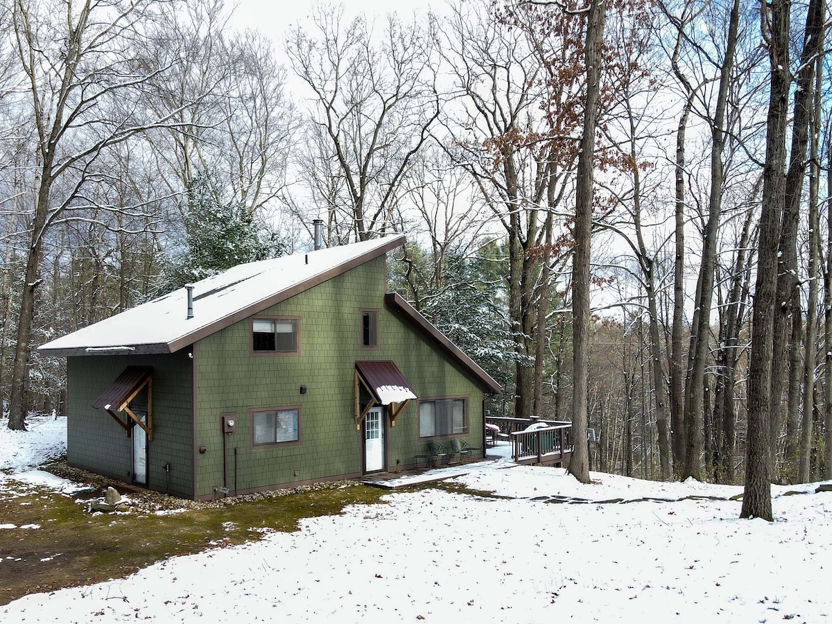 A chalet-style house is set in a snowy landscape, surrounded by tall trees. The exterior features green siding and a sloped roof. Snow blankets the ground, and a wooden deck extends from one side of the house.