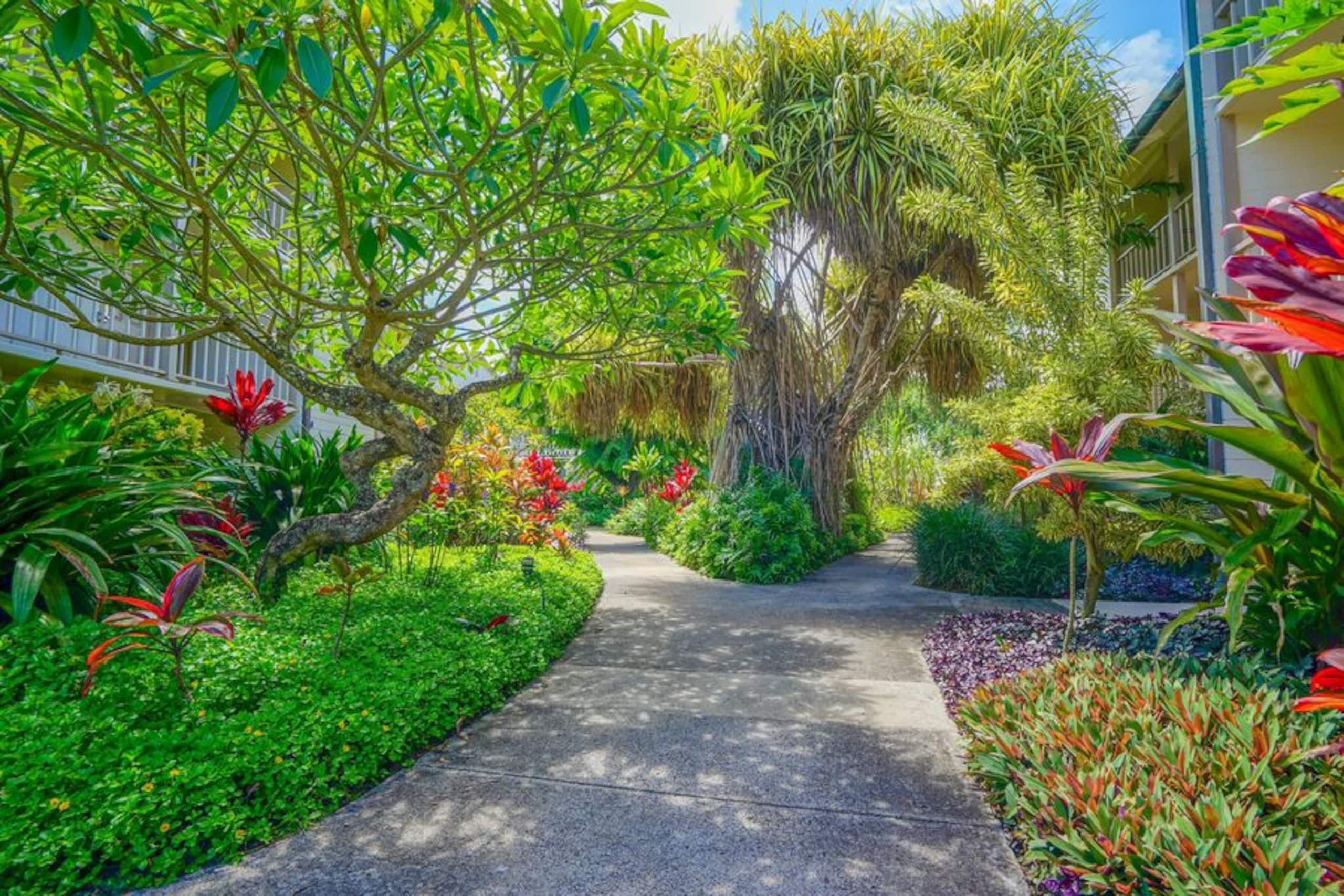 Condo in Kapaa · ★4.81 · 1 bedroom · 2 beds · 1 private bath - Image 14