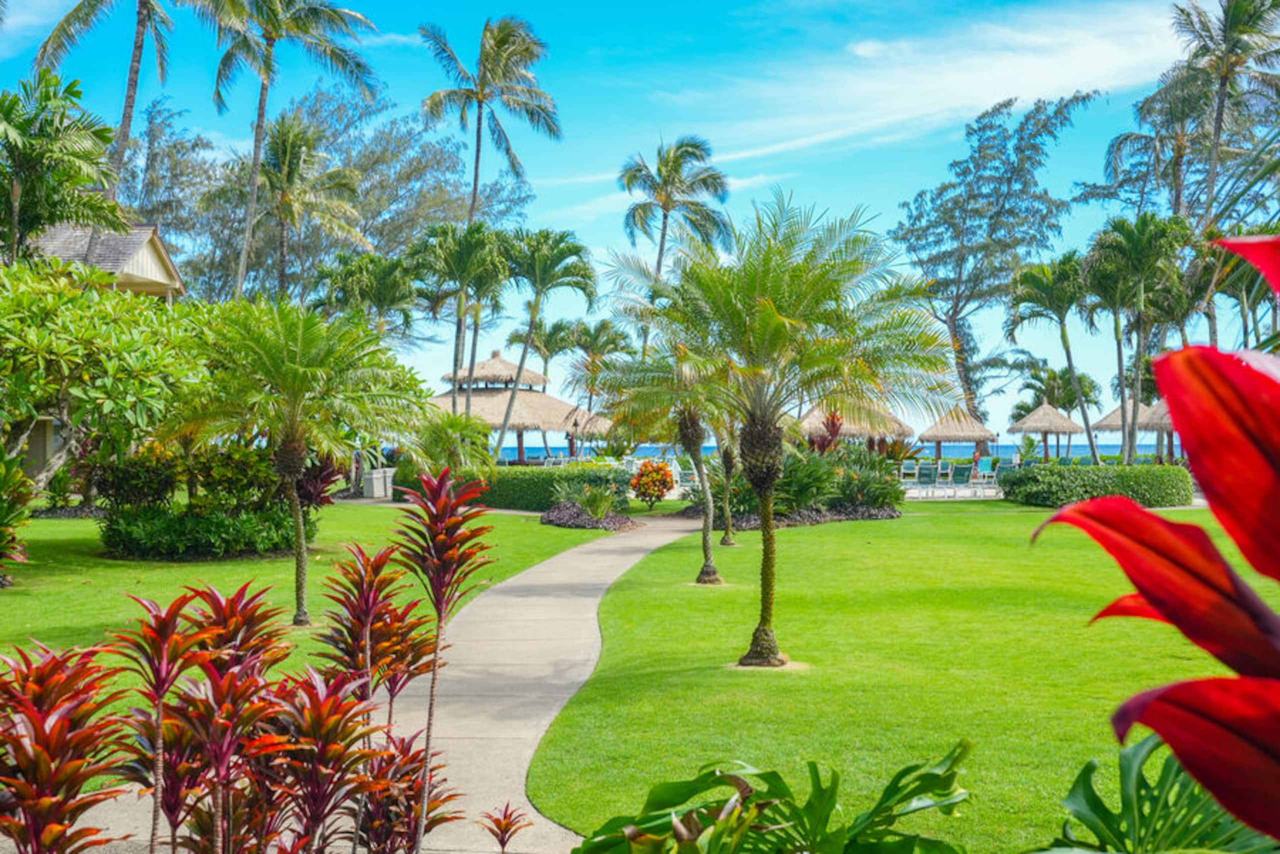 Condo in Kapaa · ★4.81 · 1 bedroom · 2 beds · 1 private bath - Image 17