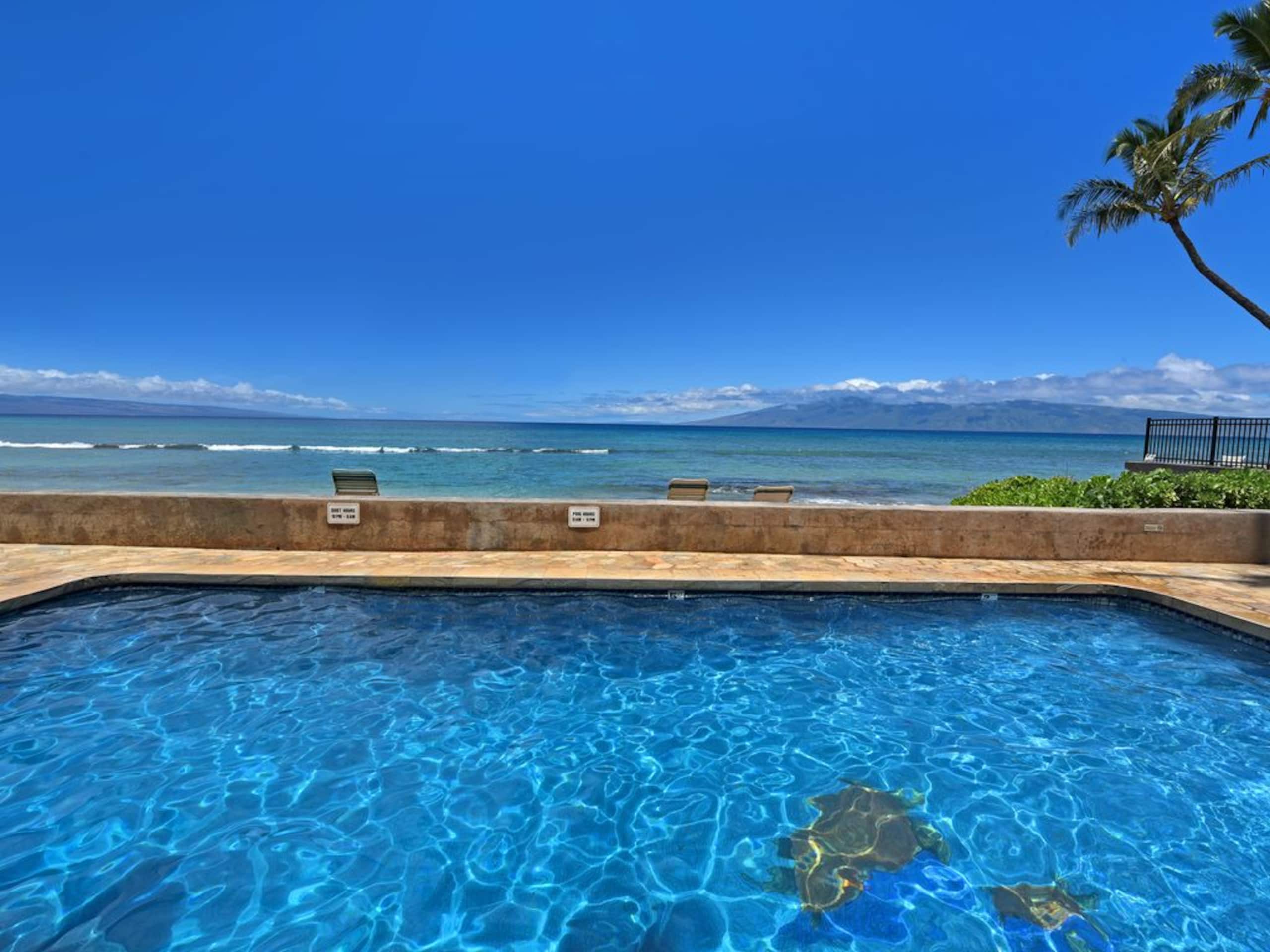 Condo in Lahaina · ★5.0 · 2 bedrooms · 4 beds · 2 baths - Image 16