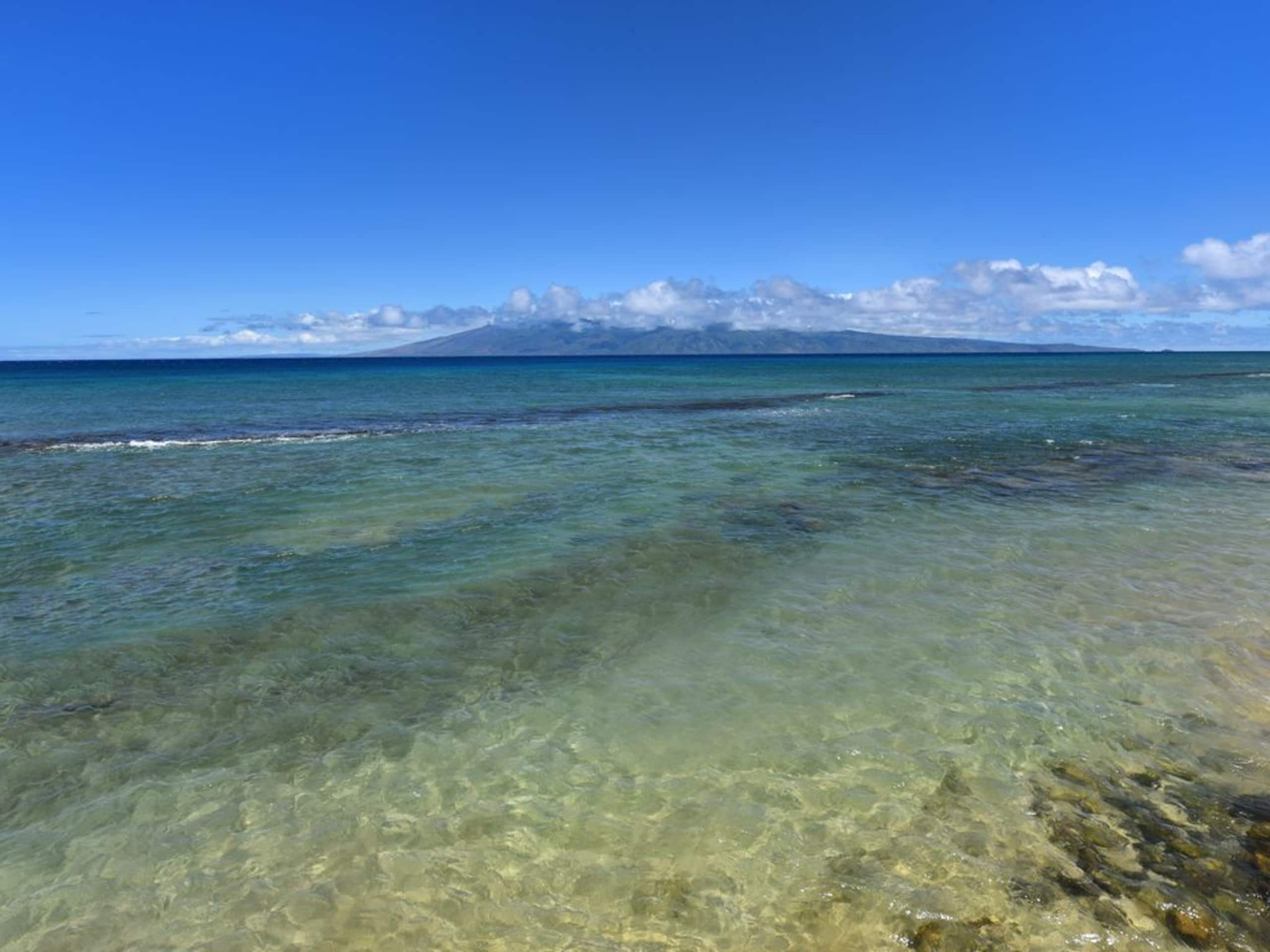 Condo in Lahaina · ★5.0 · 2 bedrooms · 4 beds · 2 baths - Image 20
