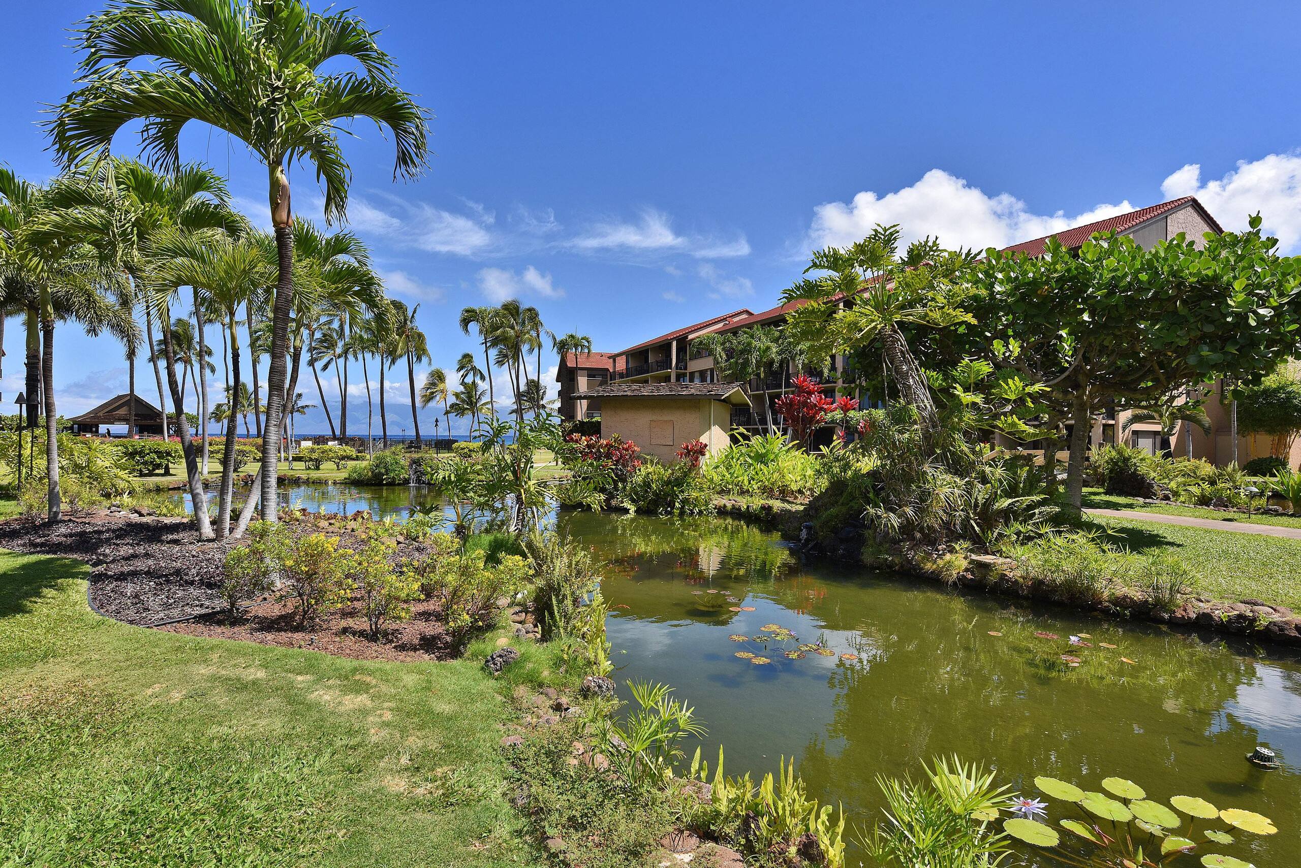 Condo in Lahaina · ★5.0 · 2 bedrooms · 4 beds · 2 baths - Image 41