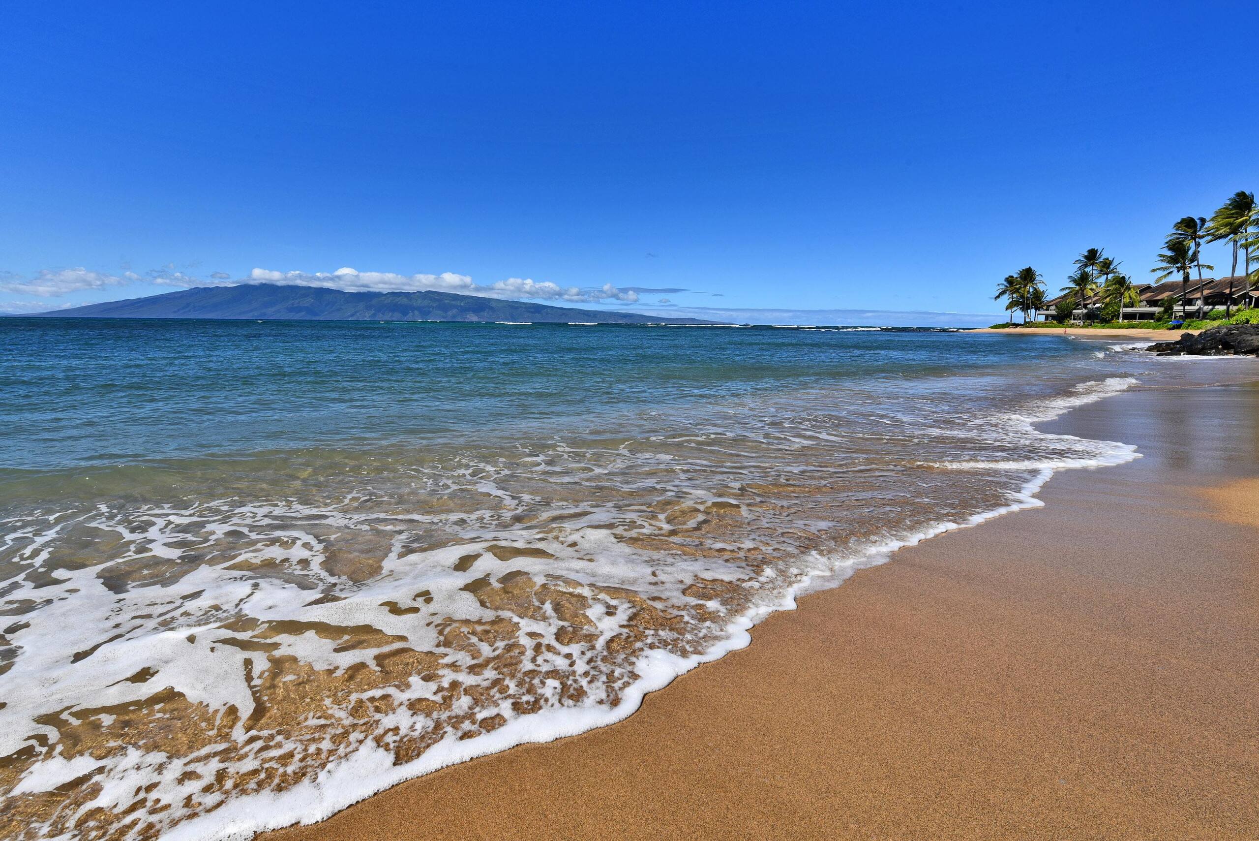 Condo in Lahaina · ★4.64 · 3 bedrooms · 6 beds · 3 baths - Image 2