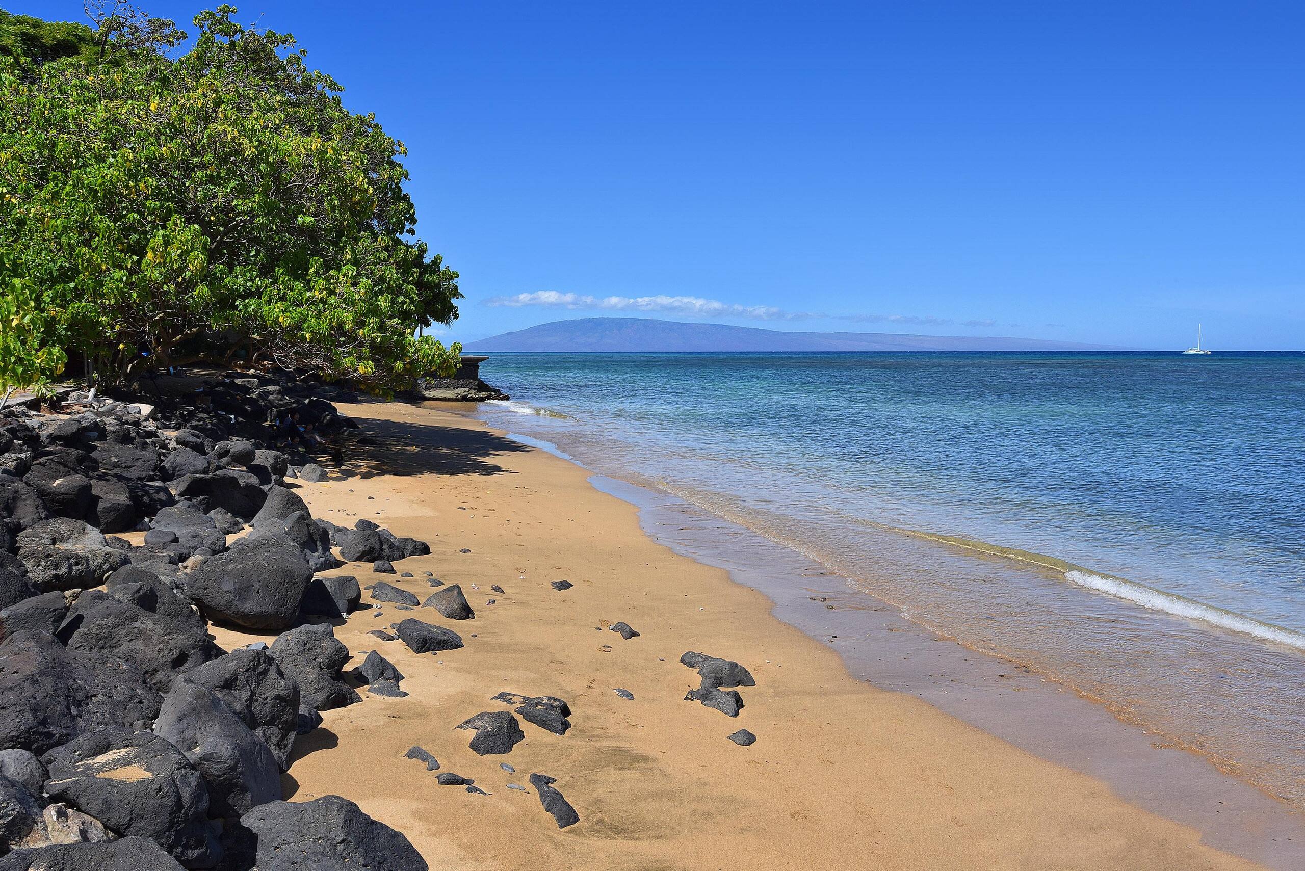 Condo in Lahaina · ★4.64 · 3 bedrooms · 6 beds · 3 baths - Image 23