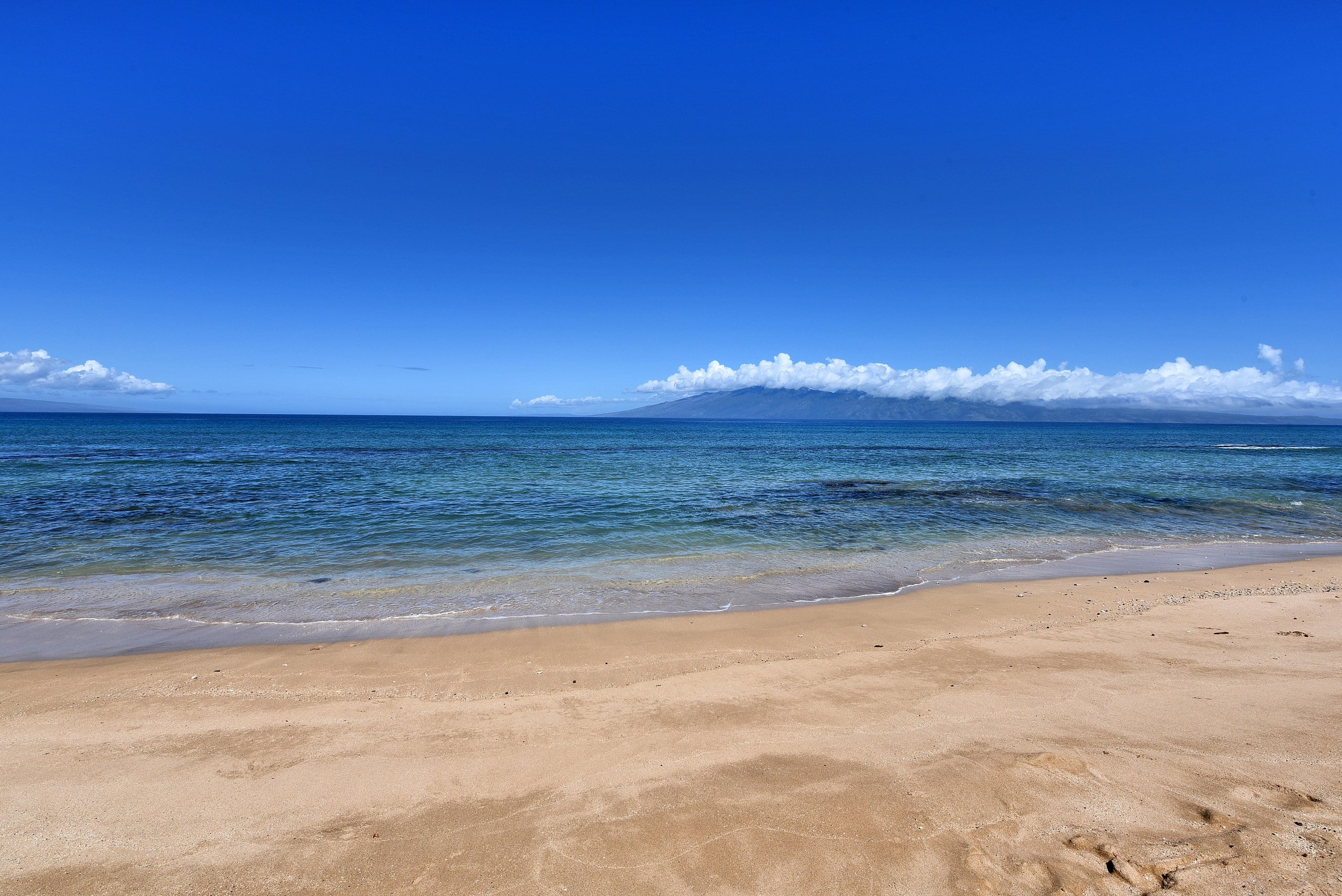 Condo in Lahaina · ★5.0 · 2 bedrooms · 4 beds · 2 shared baths - Image 49