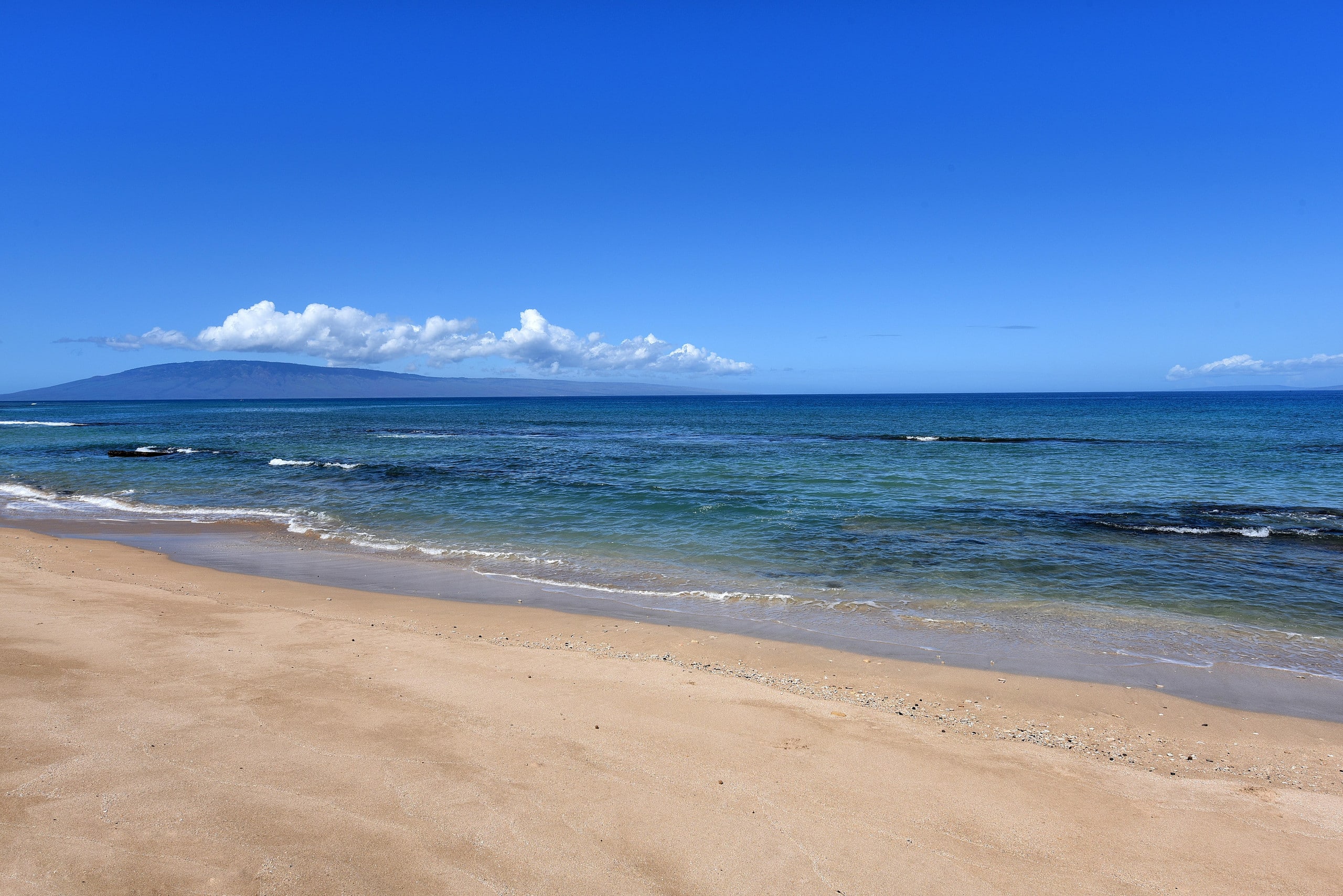 Condo in Lahaina · ★5.0 · 2 bedrooms · 4 beds · 2 shared baths - Image 50