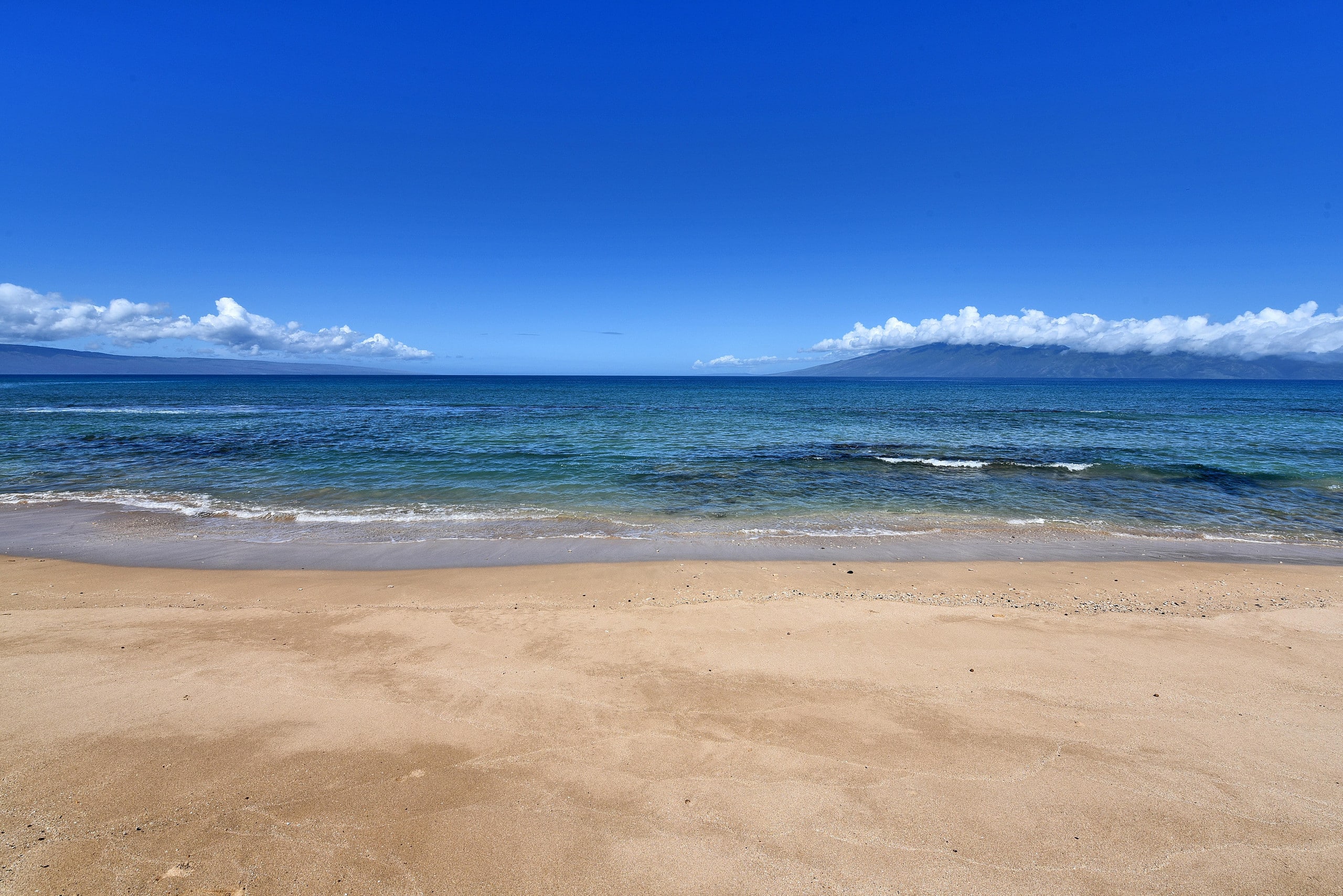 Condo in Lahaina · ★5.0 · 2 bedrooms · 4 beds · 2 shared baths - Image 51