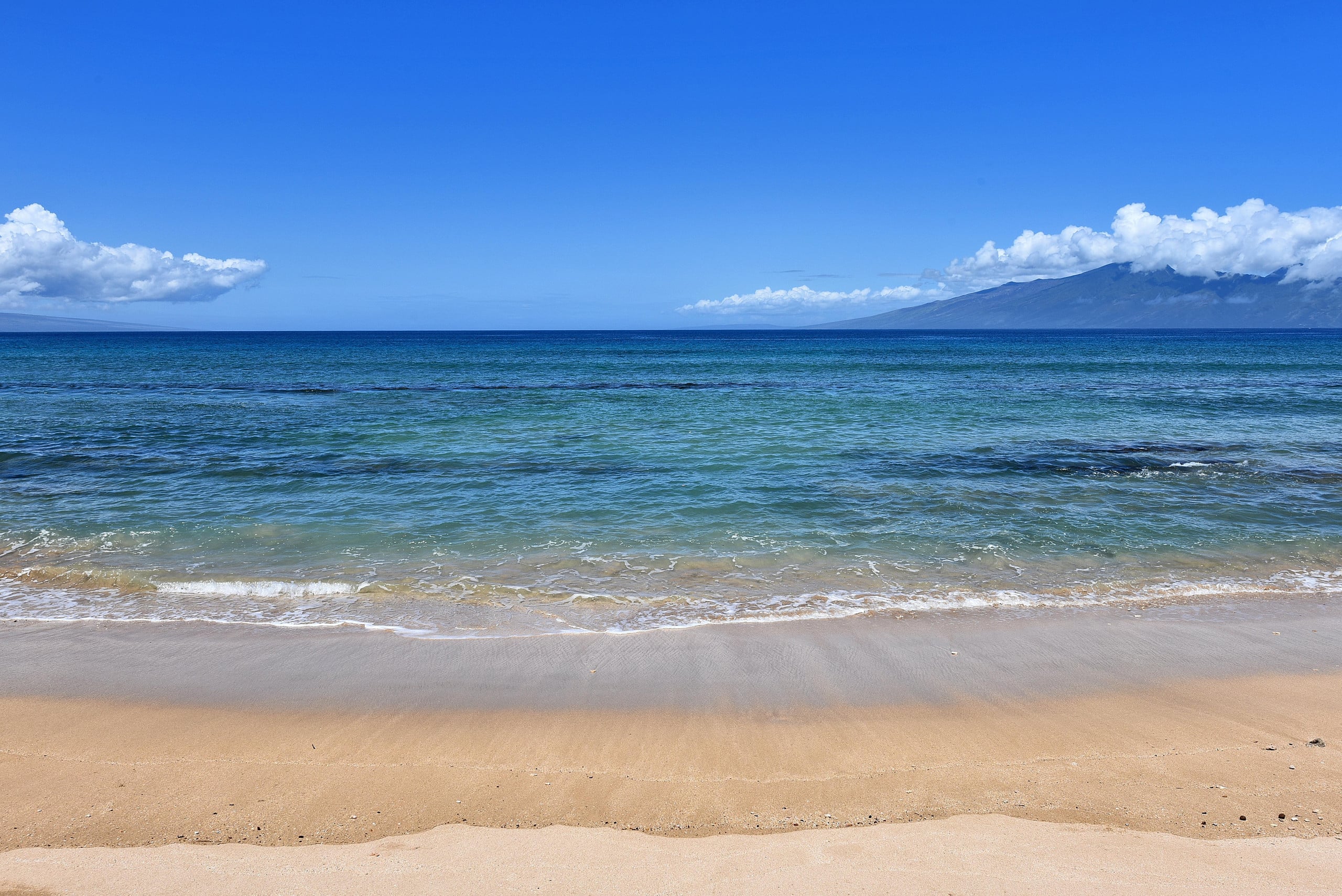 Condo in Lahaina · ★5.0 · 2 bedrooms · 4 beds · 2 shared baths - Image 45