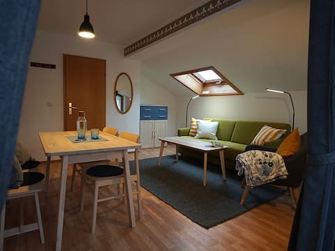 Popular Airbnb listing: Susi (apartment for 1-4 people) in Oberstdorf