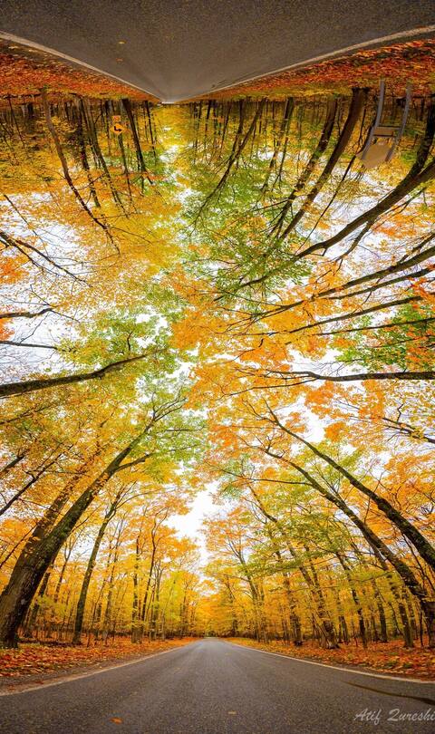 Up North Getaway!  Your Autumn Escape Awaits!
