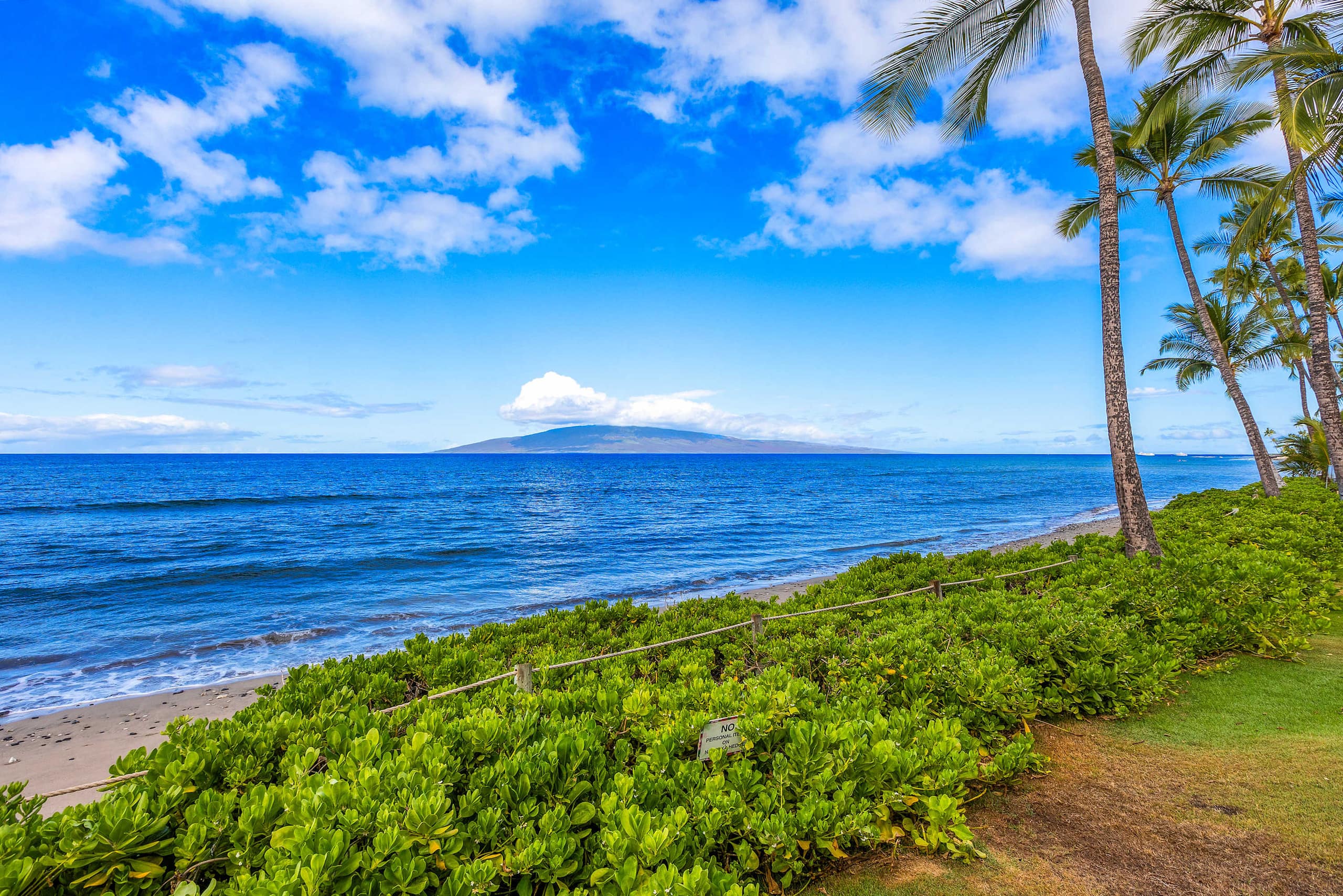 Townhouse in Lahaina · ★5.0 · 3 bedrooms · 4 beds · 3 baths - Image 41