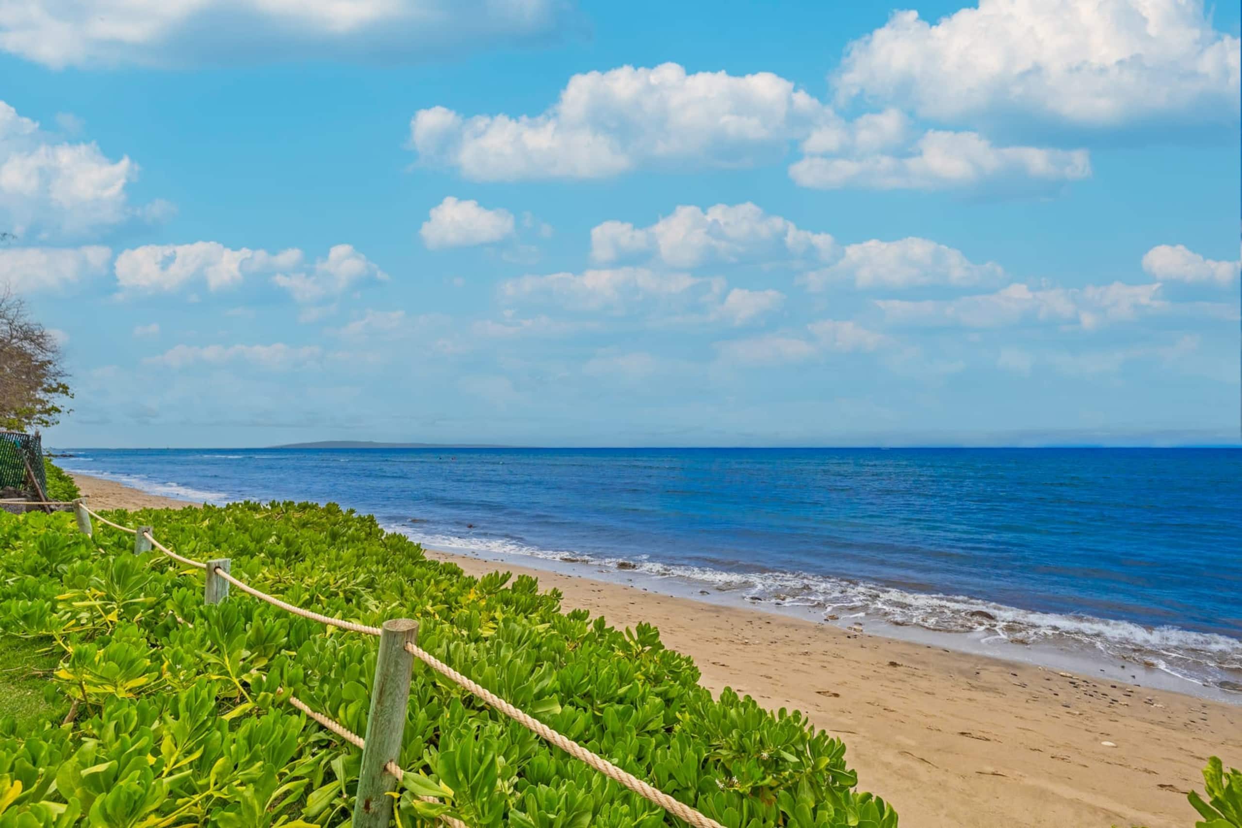 Townhouse in Lahaina · ★5.0 · 3 bedrooms · 4 beds · 3 baths - Image 32