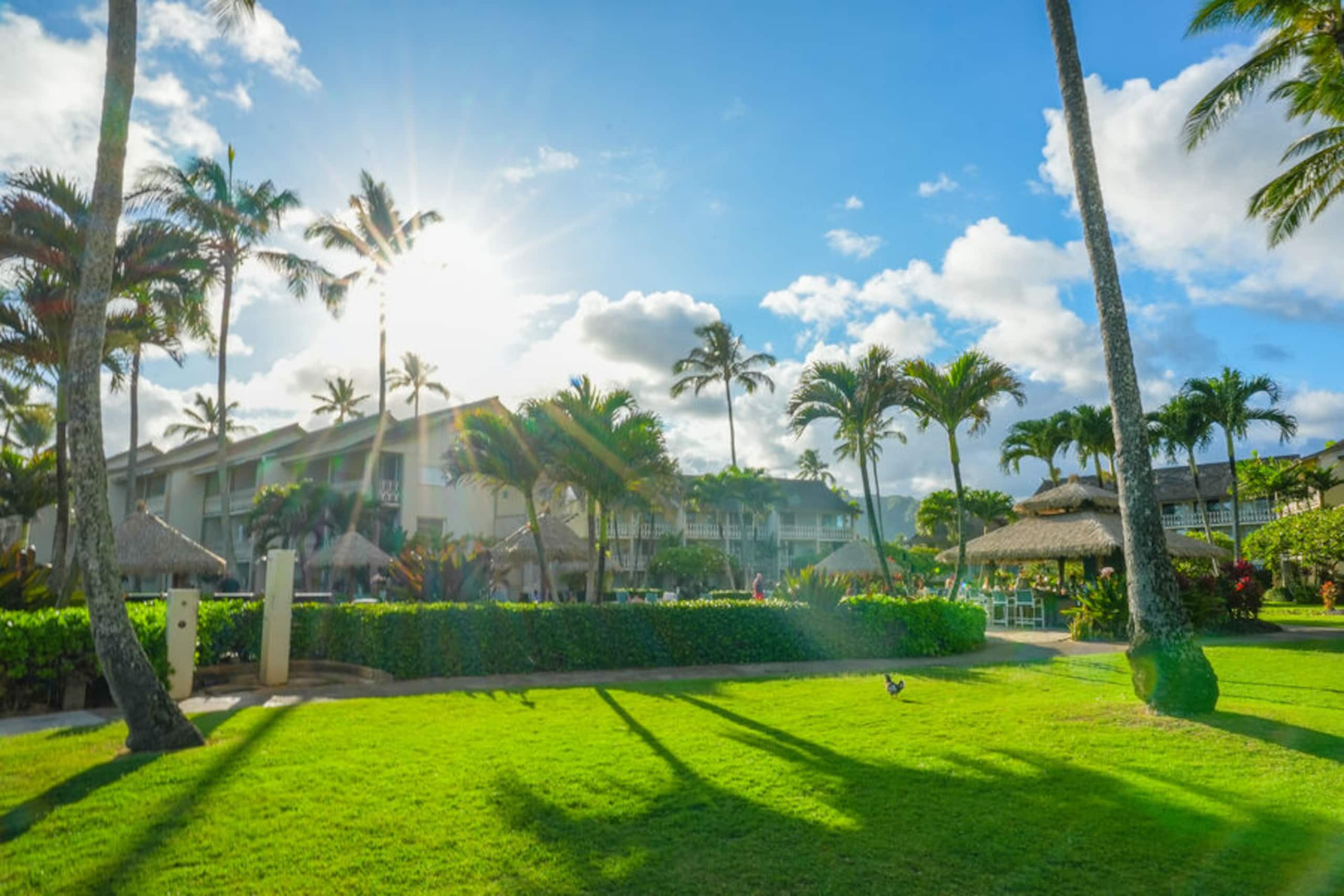 Condo in Kapaa · ★4.75 · 1 bedroom · 2 beds · 1 bath - Image 27